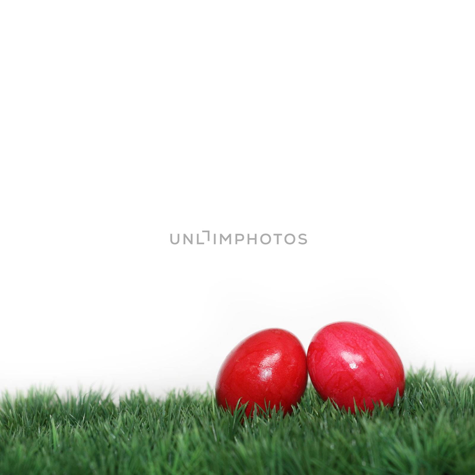 Two red Easter eggs on grass by photochecker