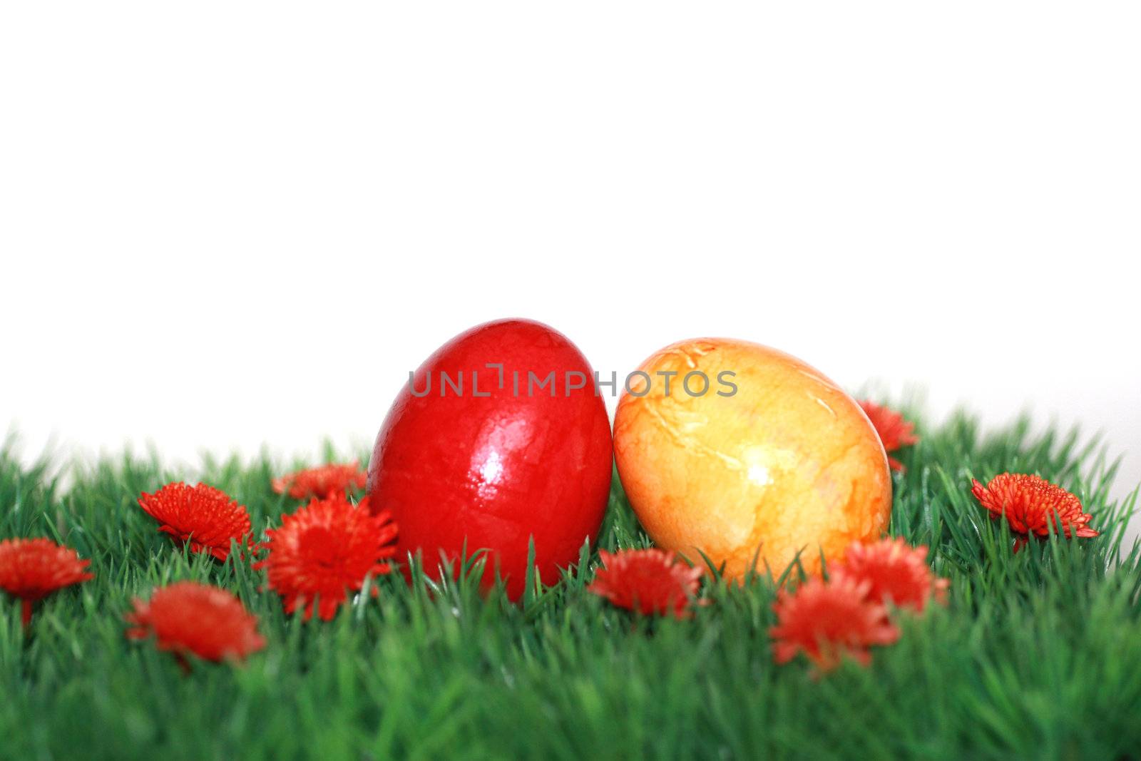 colored Easter Eggs by photochecker