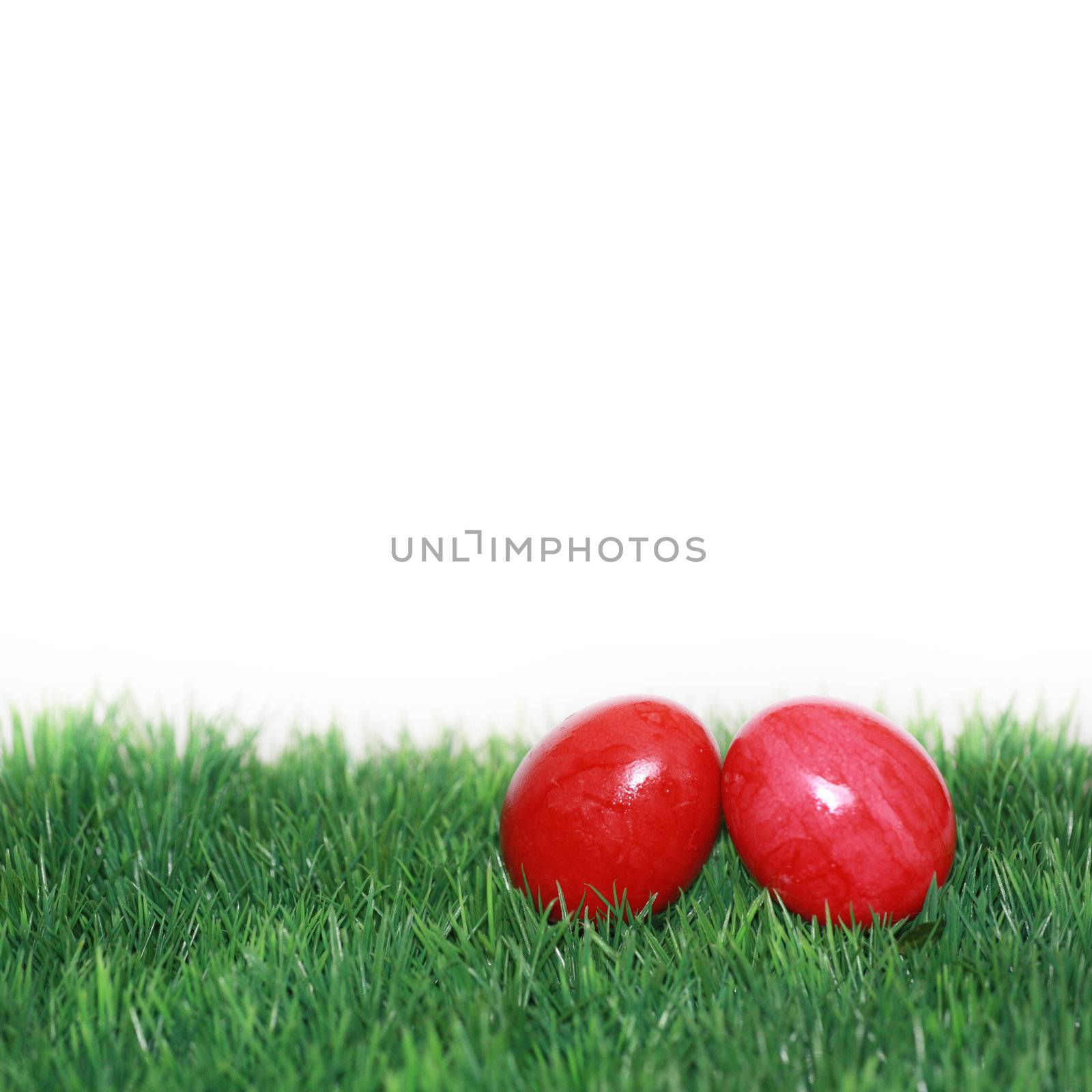 Two red Easter eggs by photochecker