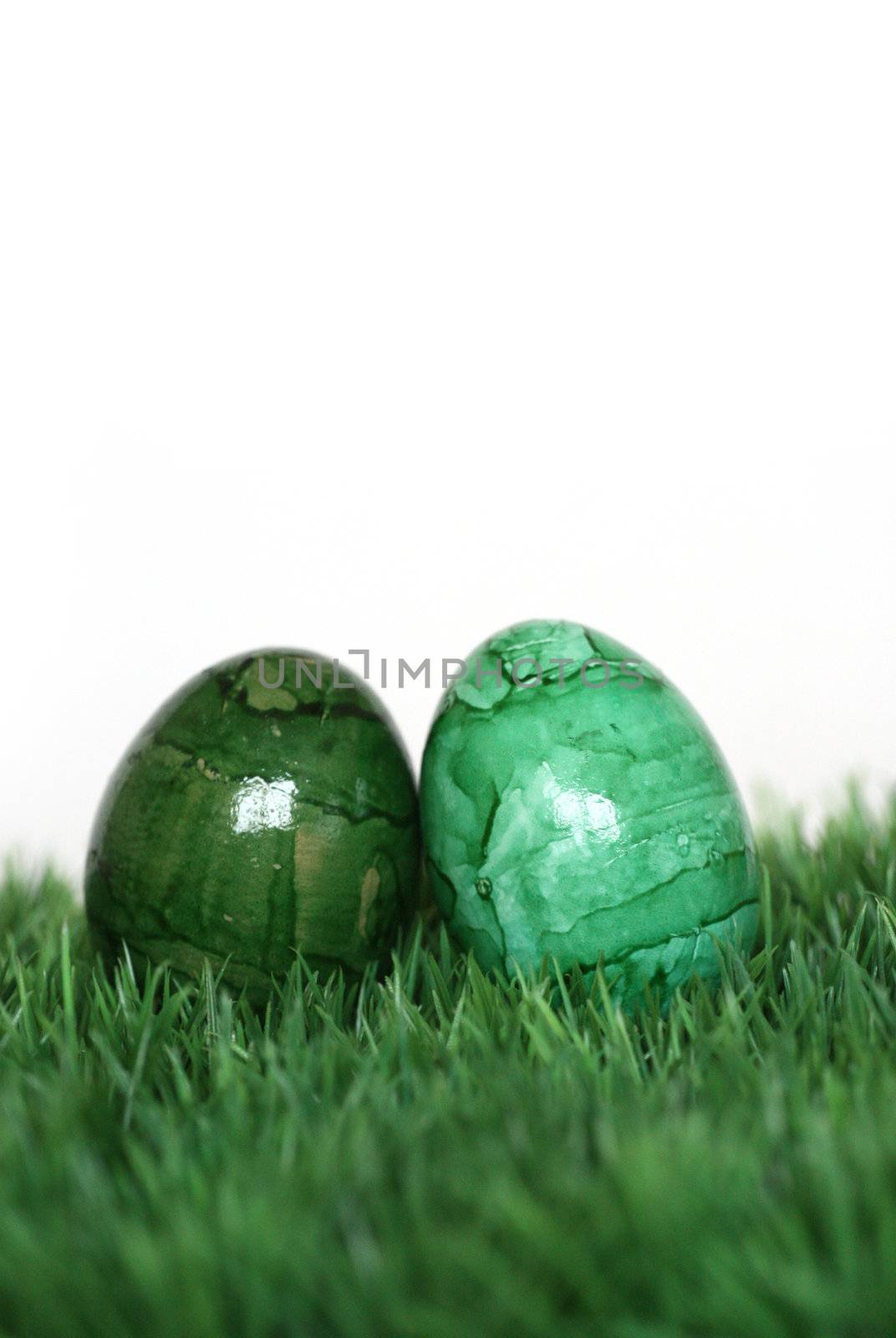 Green and light green eggs by photochecker