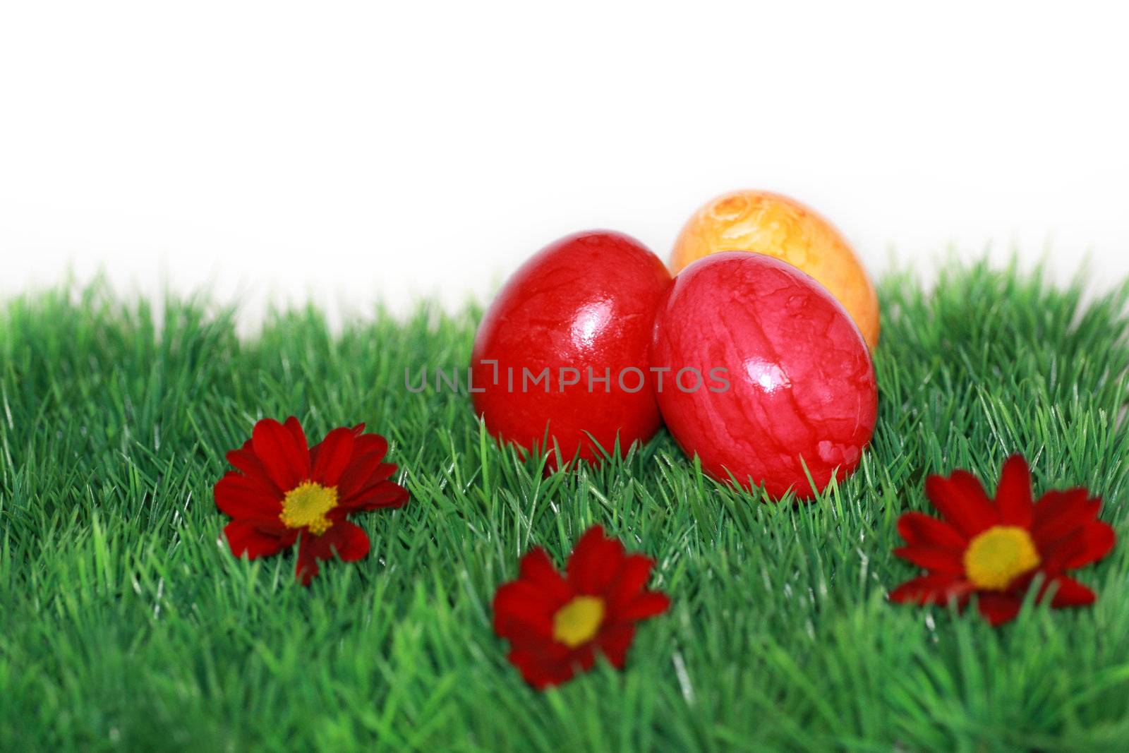 Easter decoration by photochecker