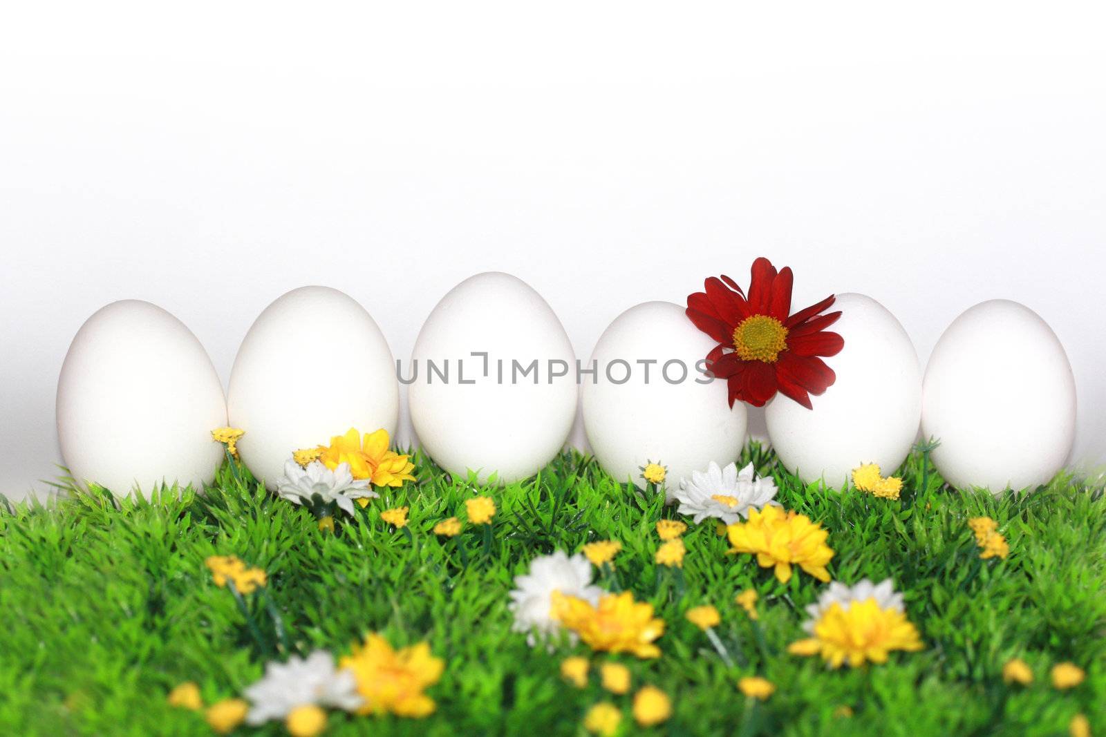 White eggs with flowers by photochecker