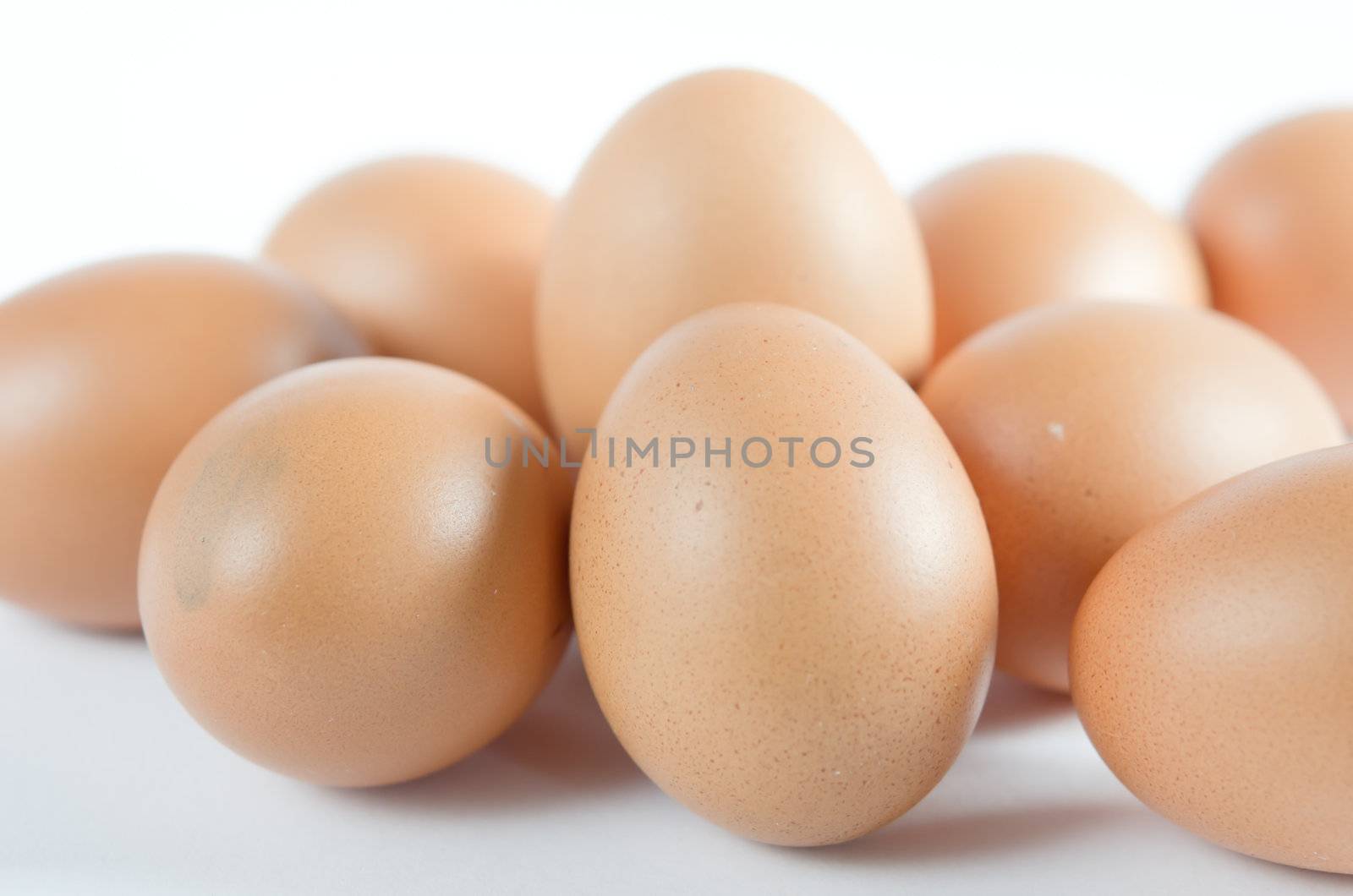 close up of brown eggs  on white background
