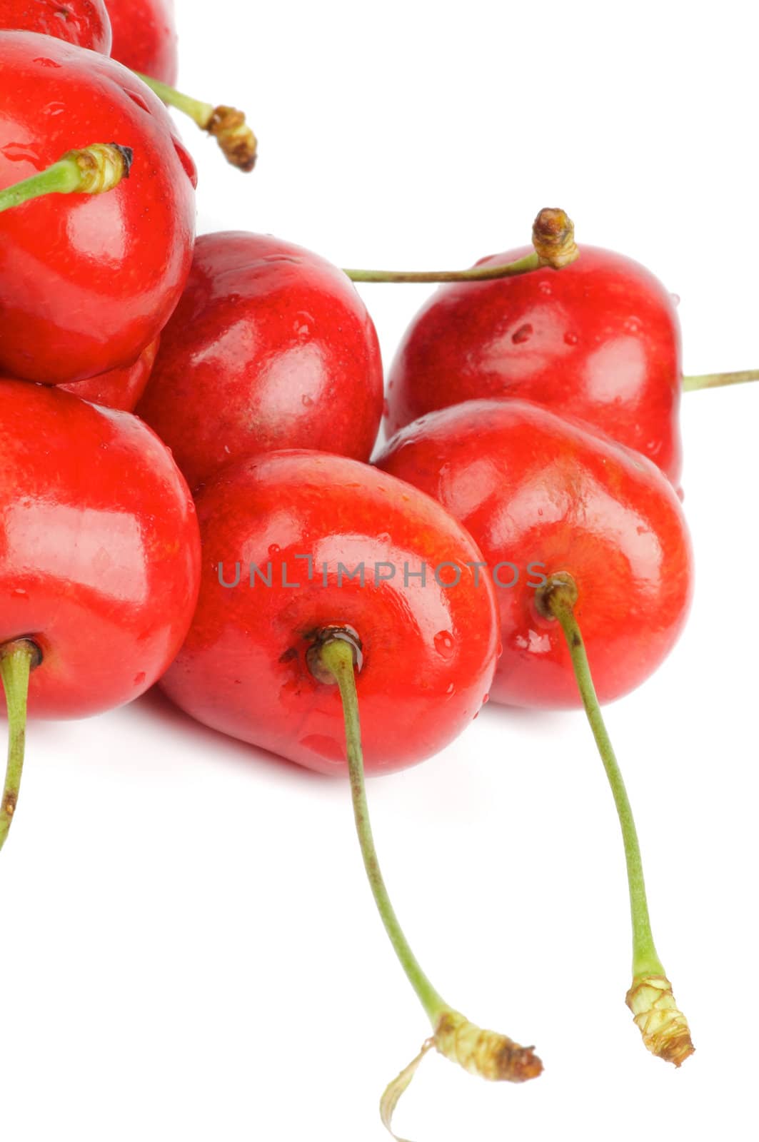 Fresh Ripe Cherry by zhekos