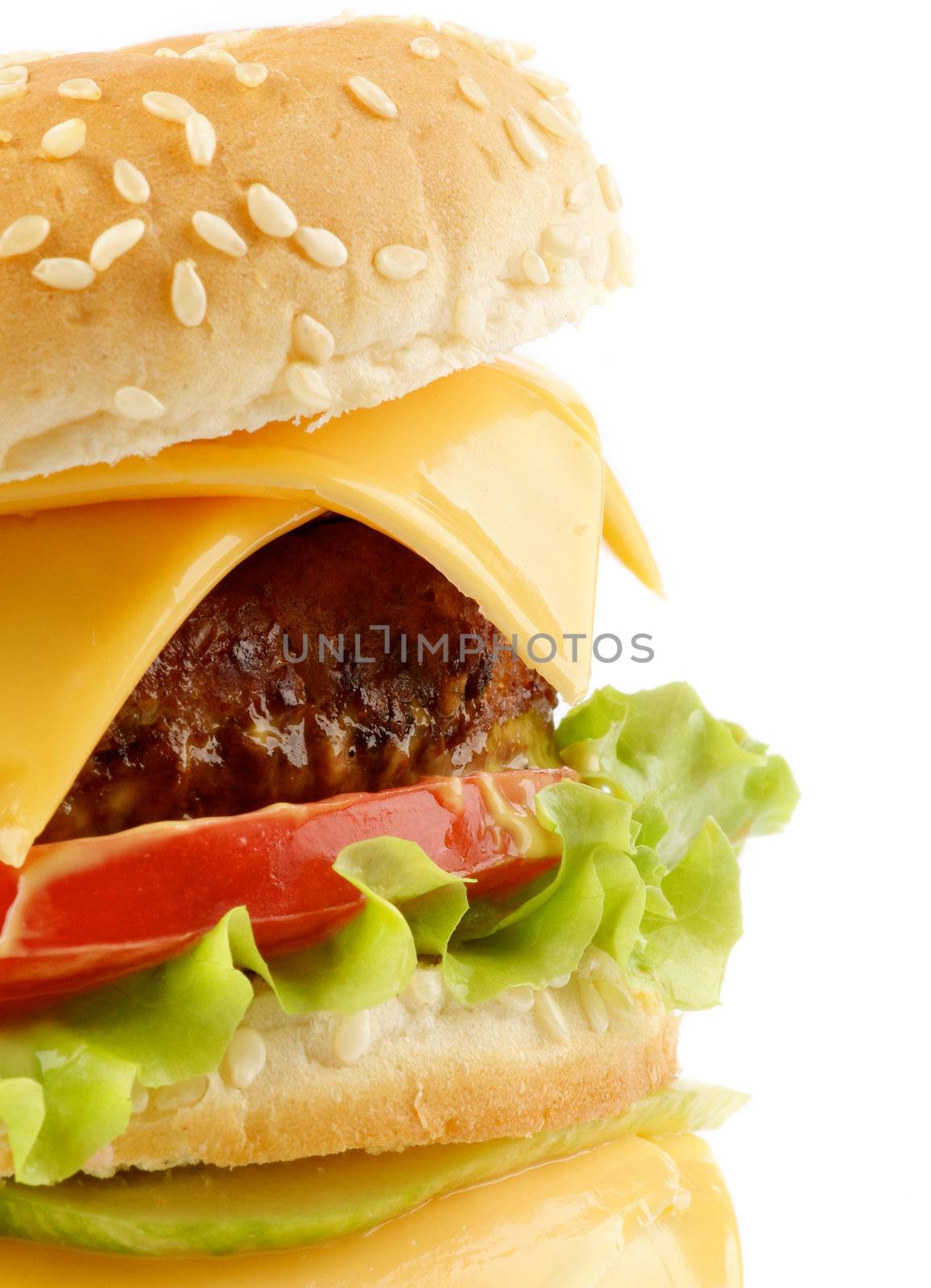 Tasty Cheeseburger with beef, tomato and letucce closeup on white background