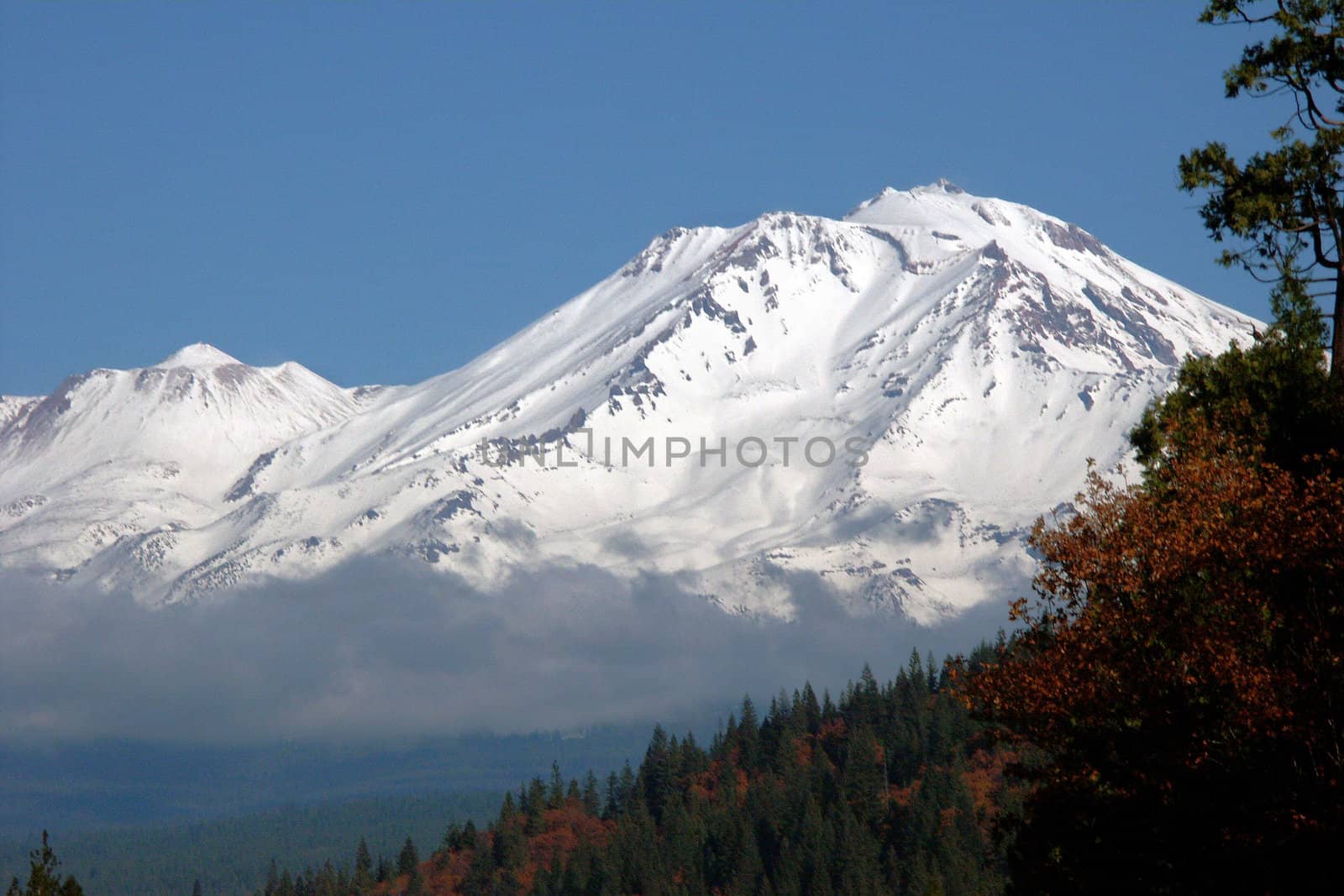 Mount Shasta by prbetts