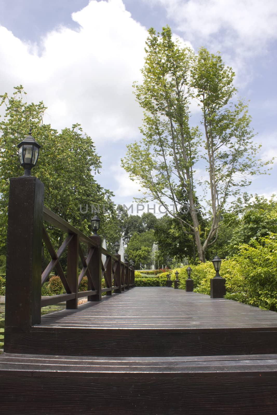 Bridge wood in garden a opening in the trees