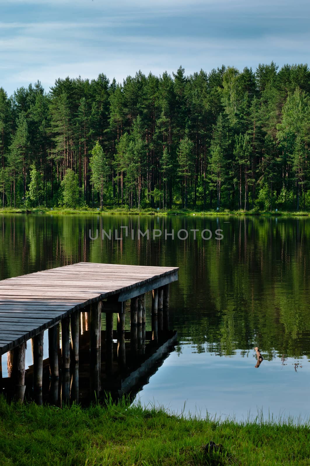 Landscape with pier vertical view by dmitryelagin