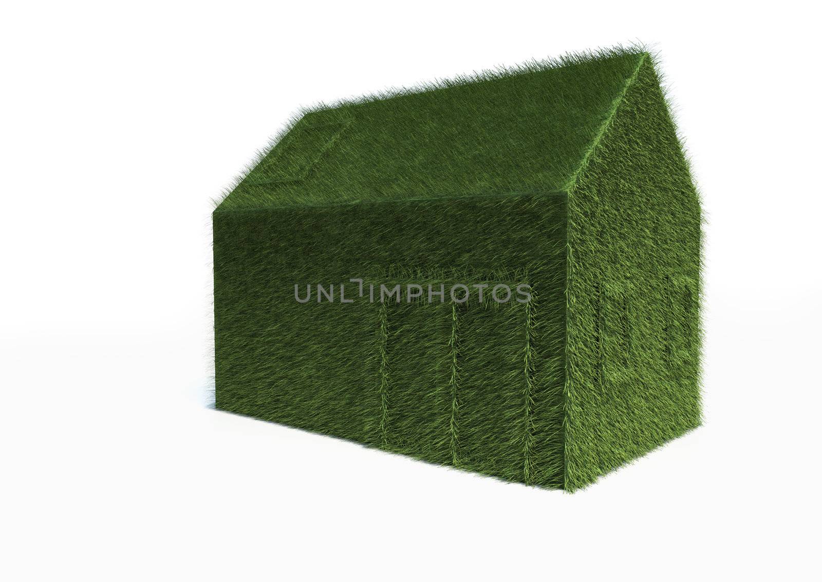 Eco Green House,a conceptual picture for a sustainable business.