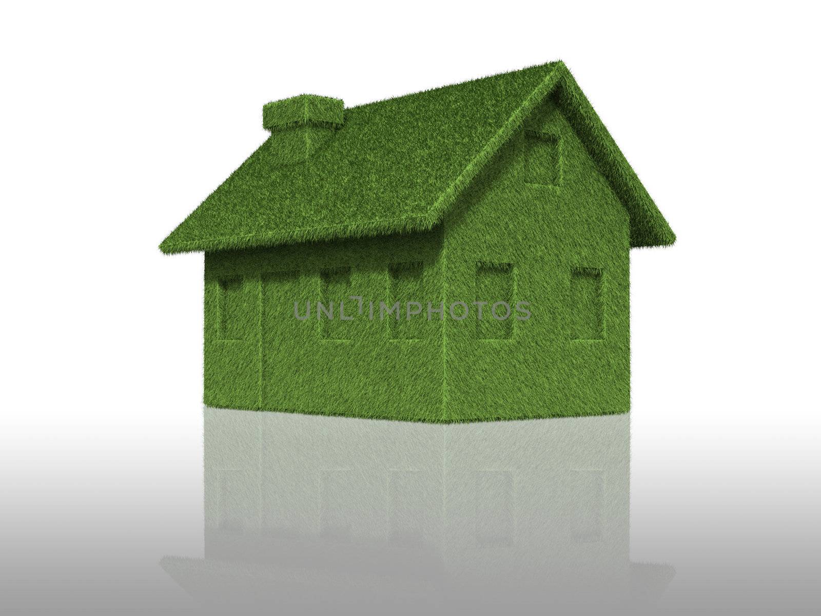 Eco Green House,a conceptual picture for a sustainable business.