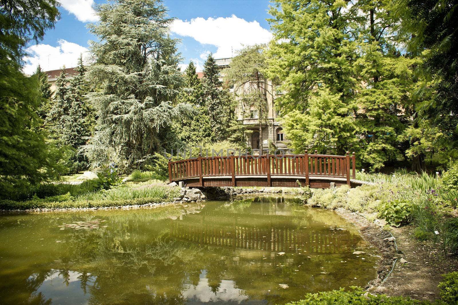 Zagreb botanical garden lake and wooden bridge, Croatia