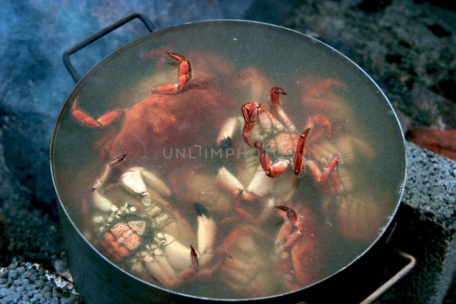 Cooking crabs