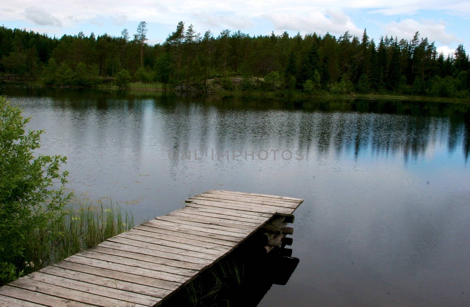 lake / pond with lotuslake / pond with lotus