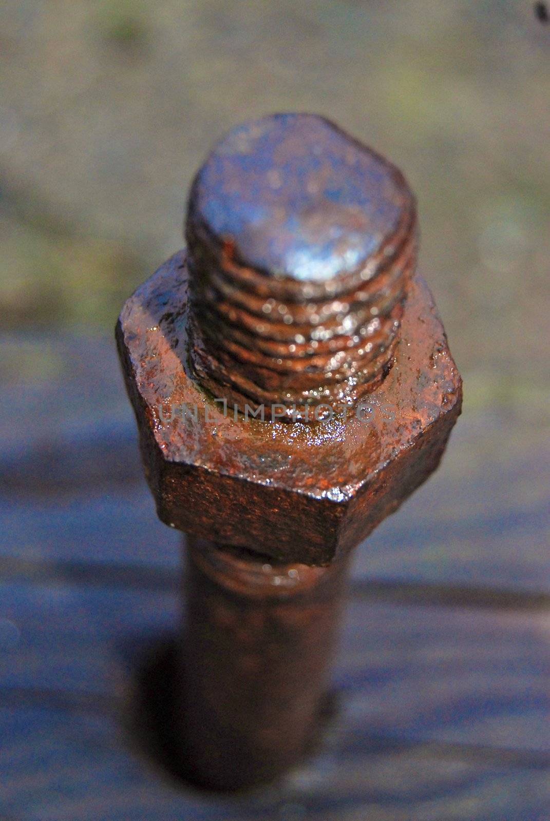 rusty screw and nut closeup by Bildehagen