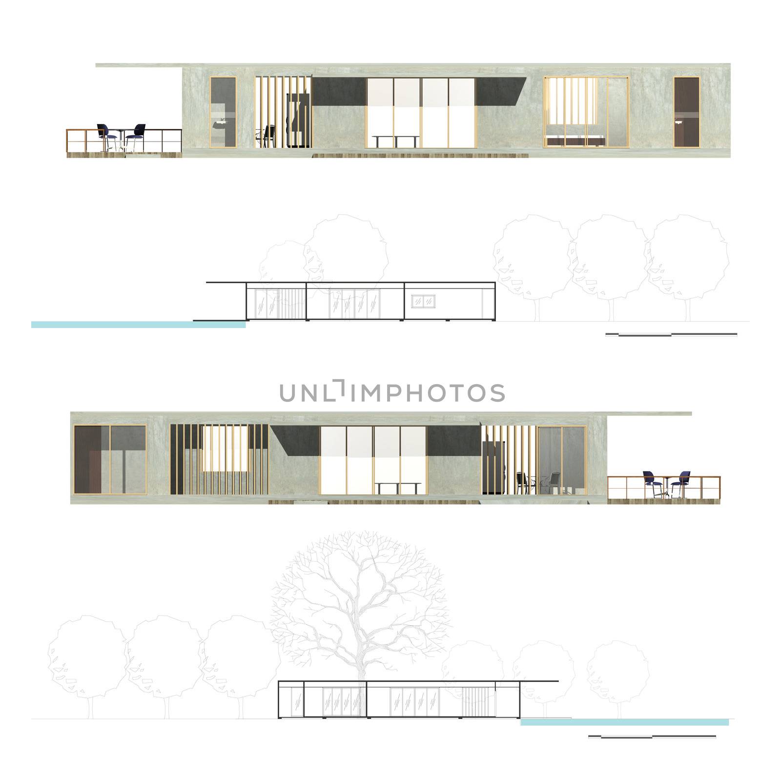 Architecture Elevation and Section of Housing.