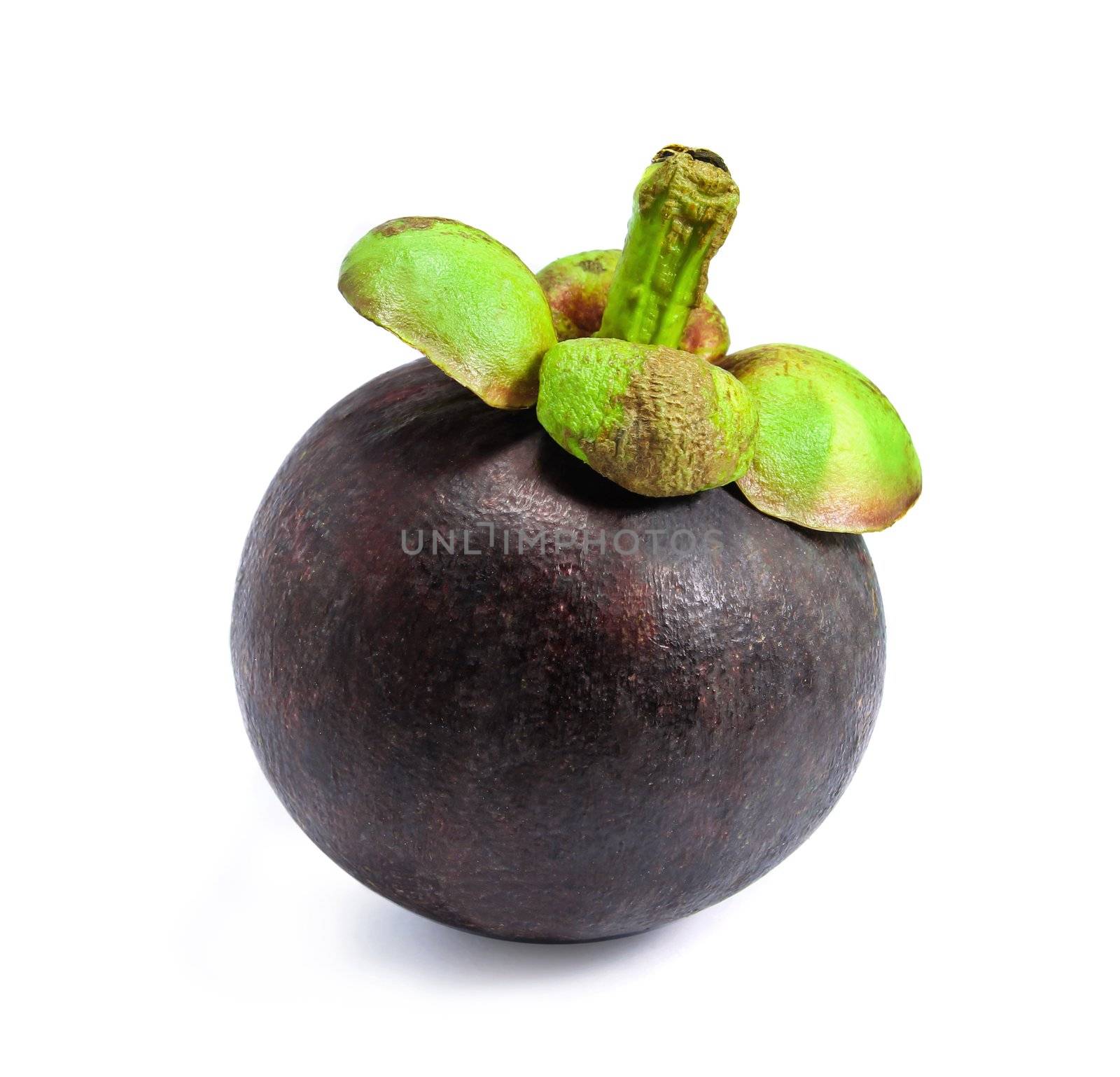 Mangosteen on white background by Myimagine