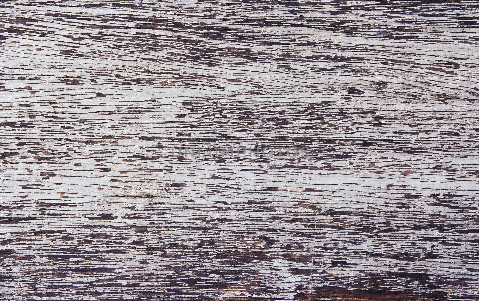 Old wood texture by Myimagine