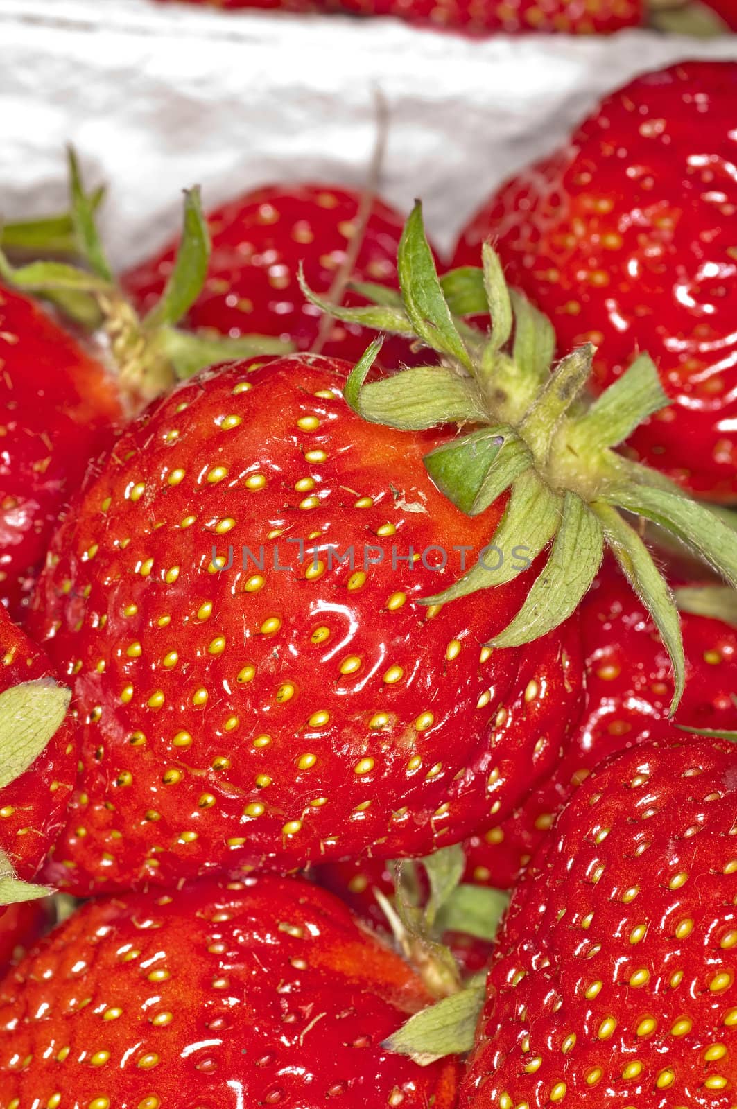 strawberry by Jochen