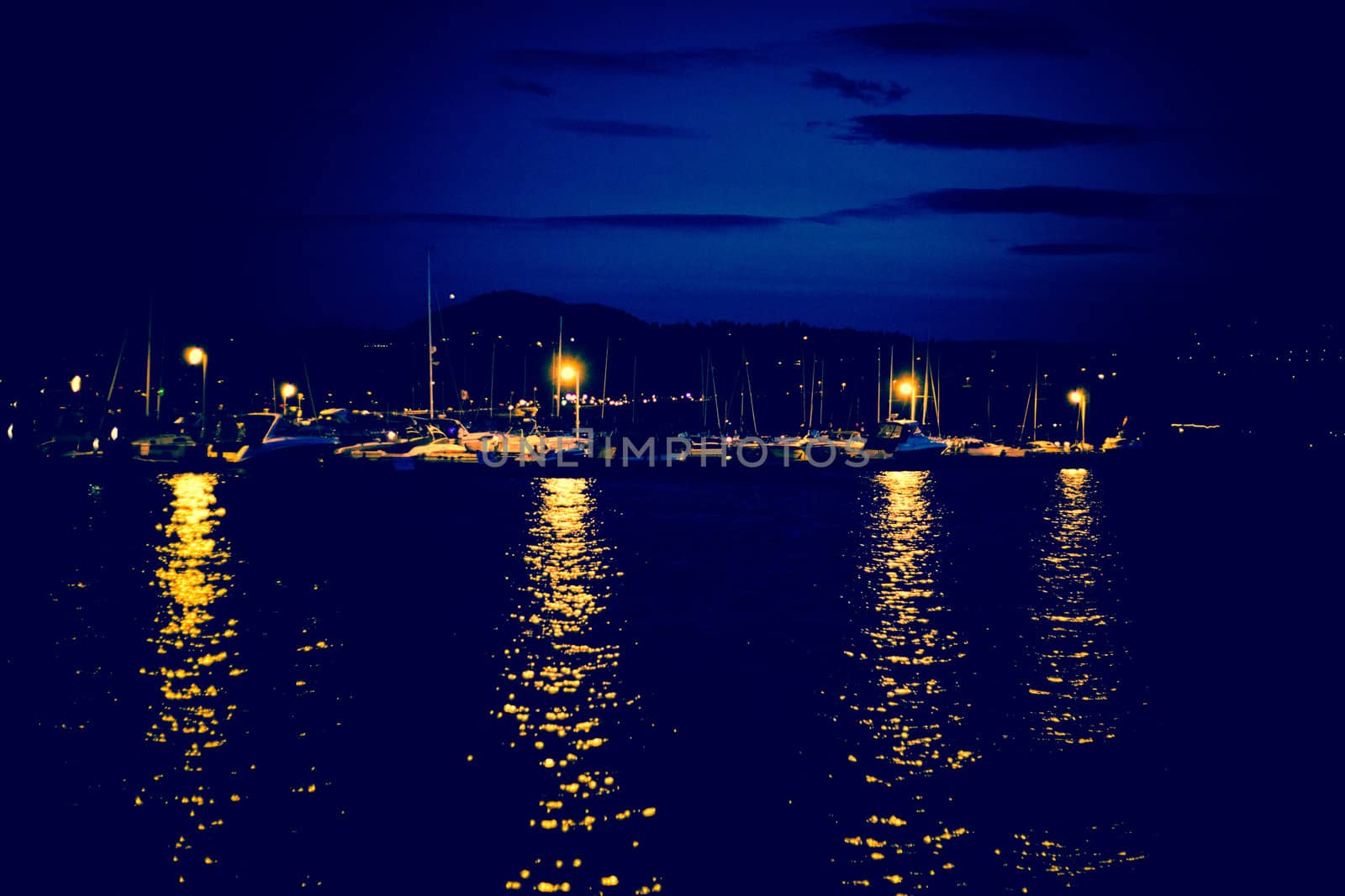 night scene of a small marina bay
