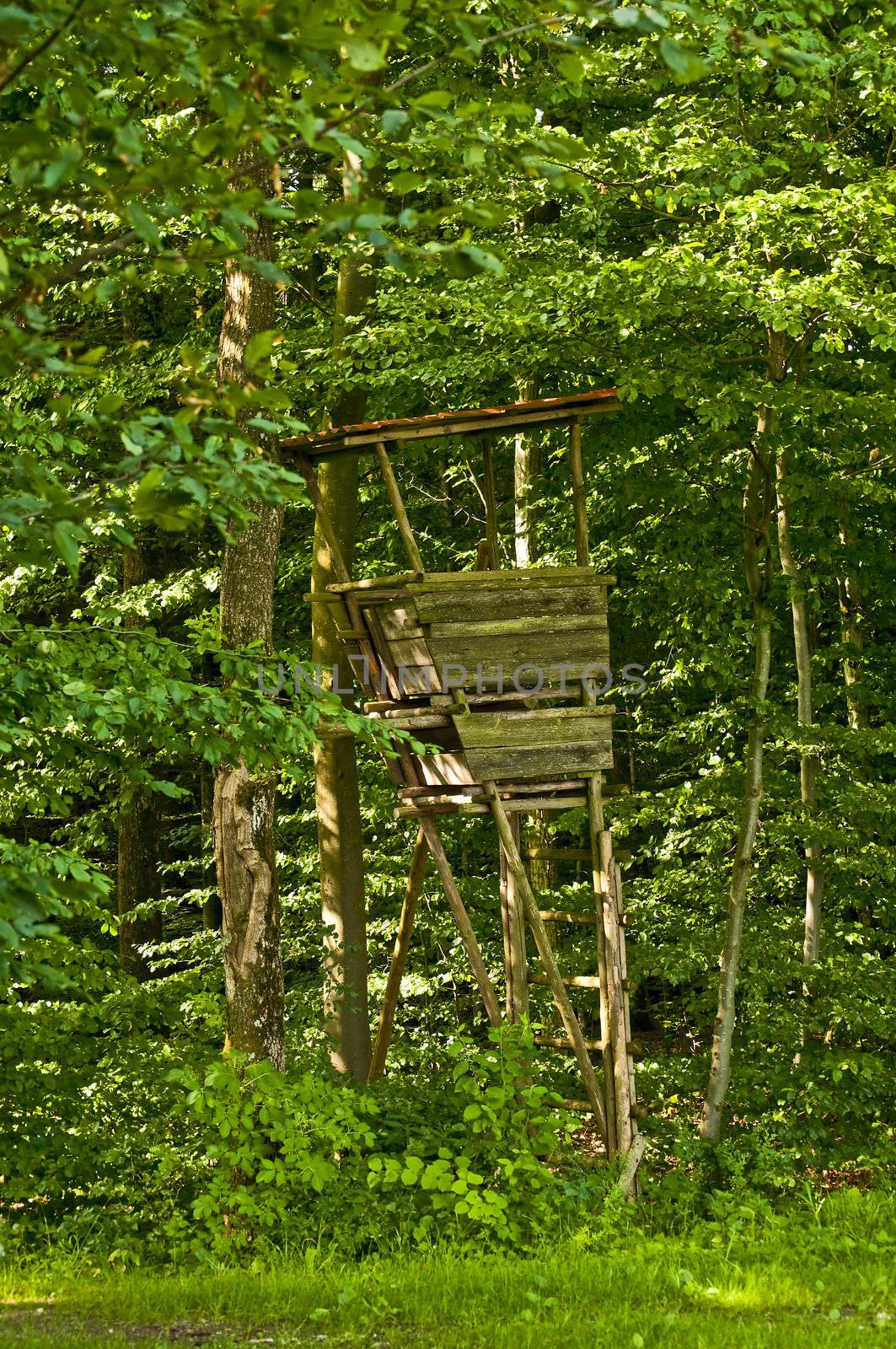 hunting stand