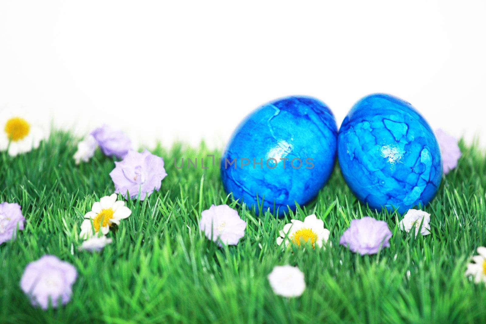 Colorful Easter eggs on green grass by photochecker