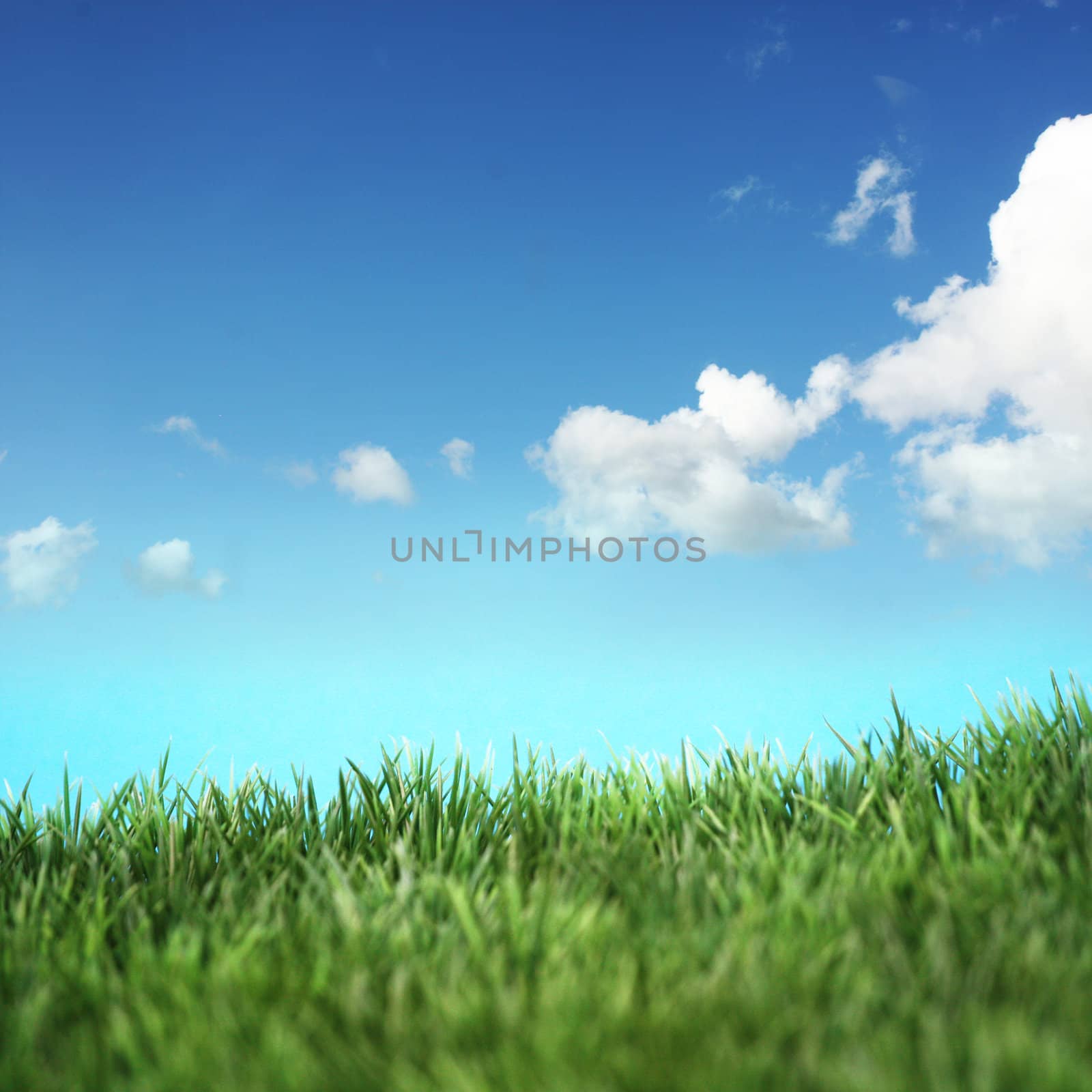 Green field and blue sky with white clouds 