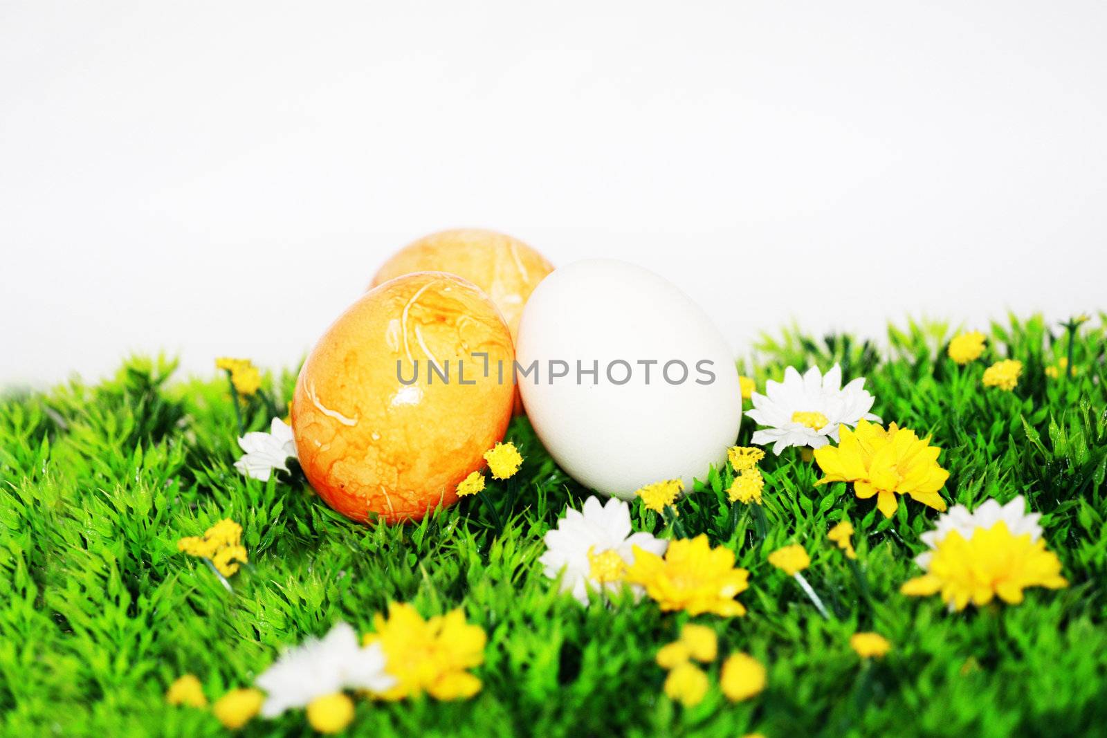 Easter tradition by photochecker