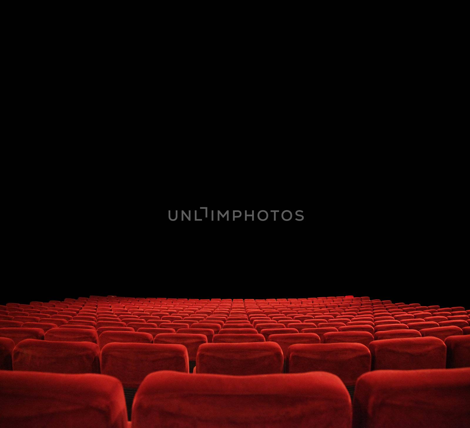 in the cinema by photochecker