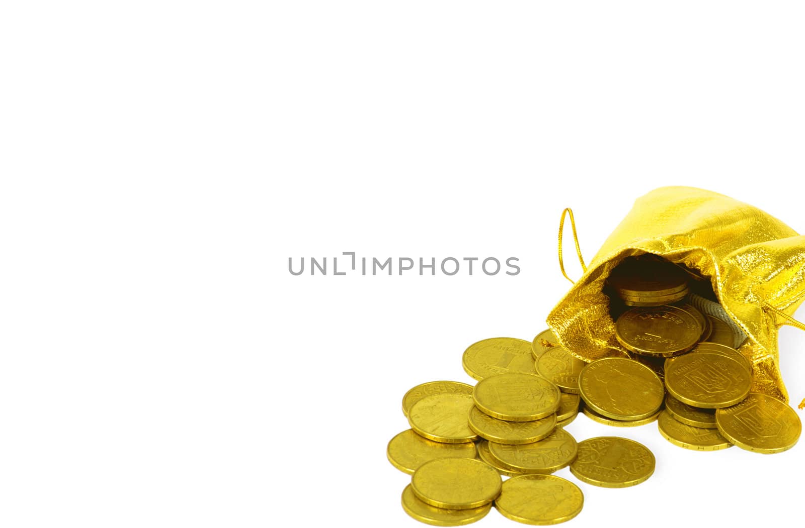 Money coins in golden bag isolated on white