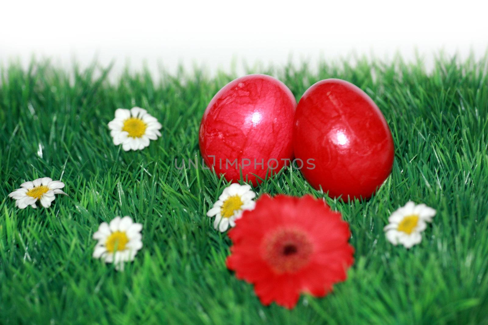 Red Easter eggs in the grass by photochecker