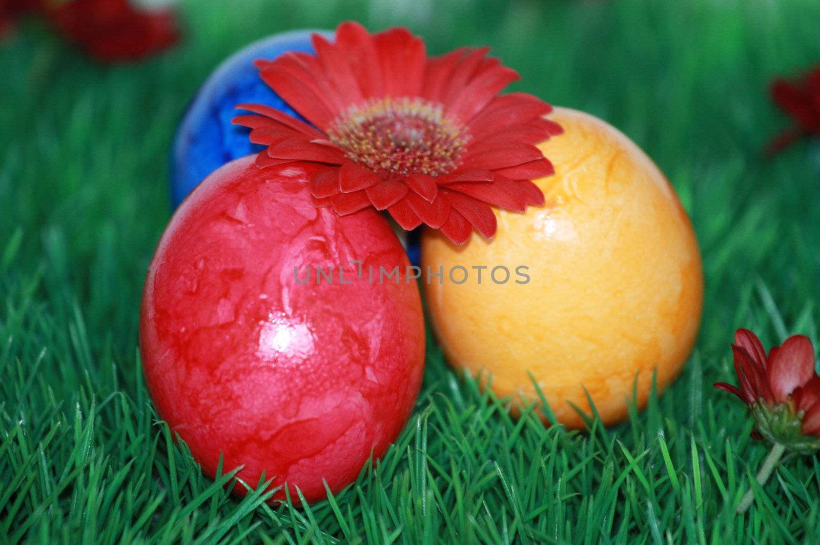 three Easter Eggs by photochecker