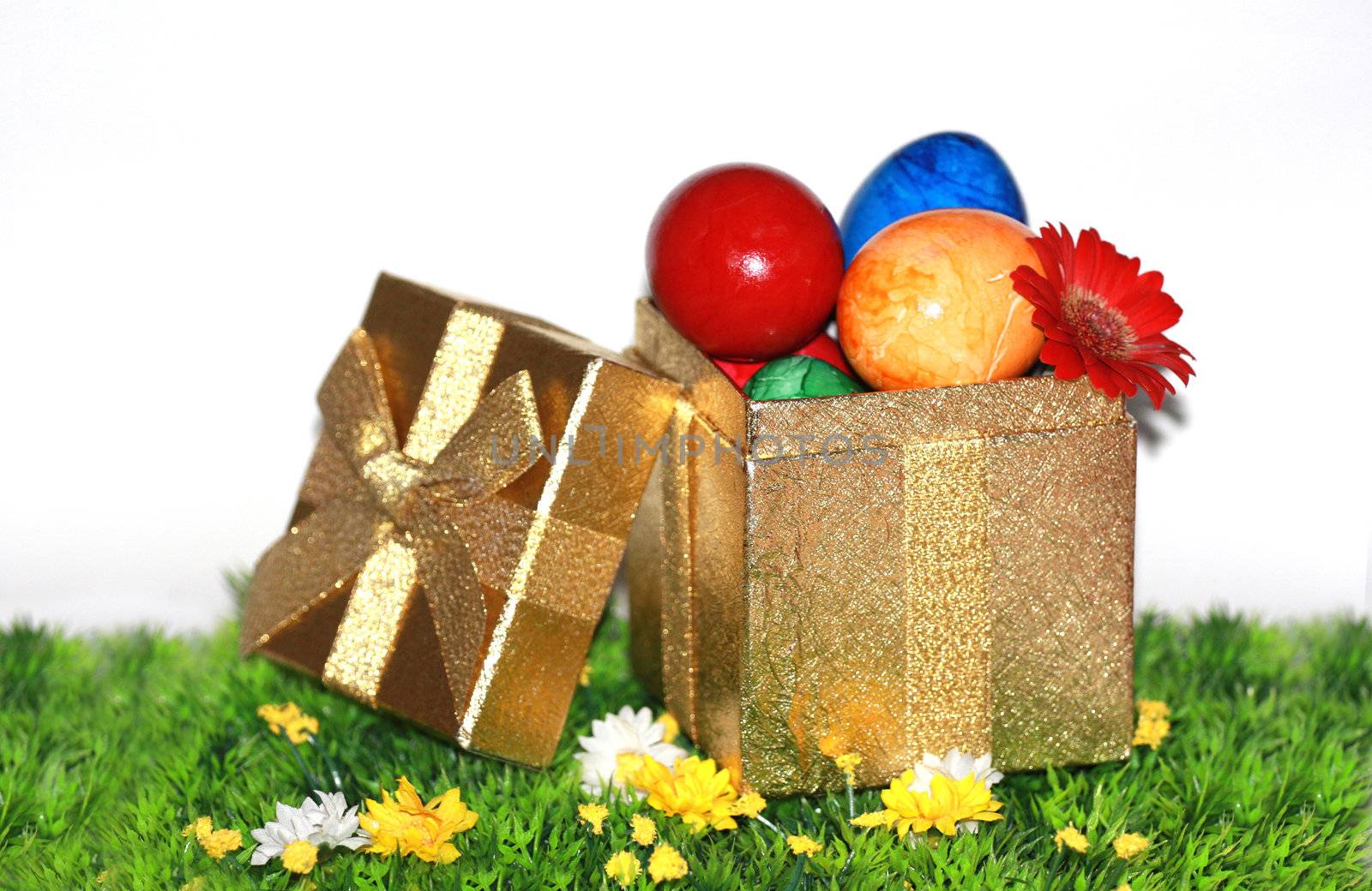 Easter Gift by photochecker