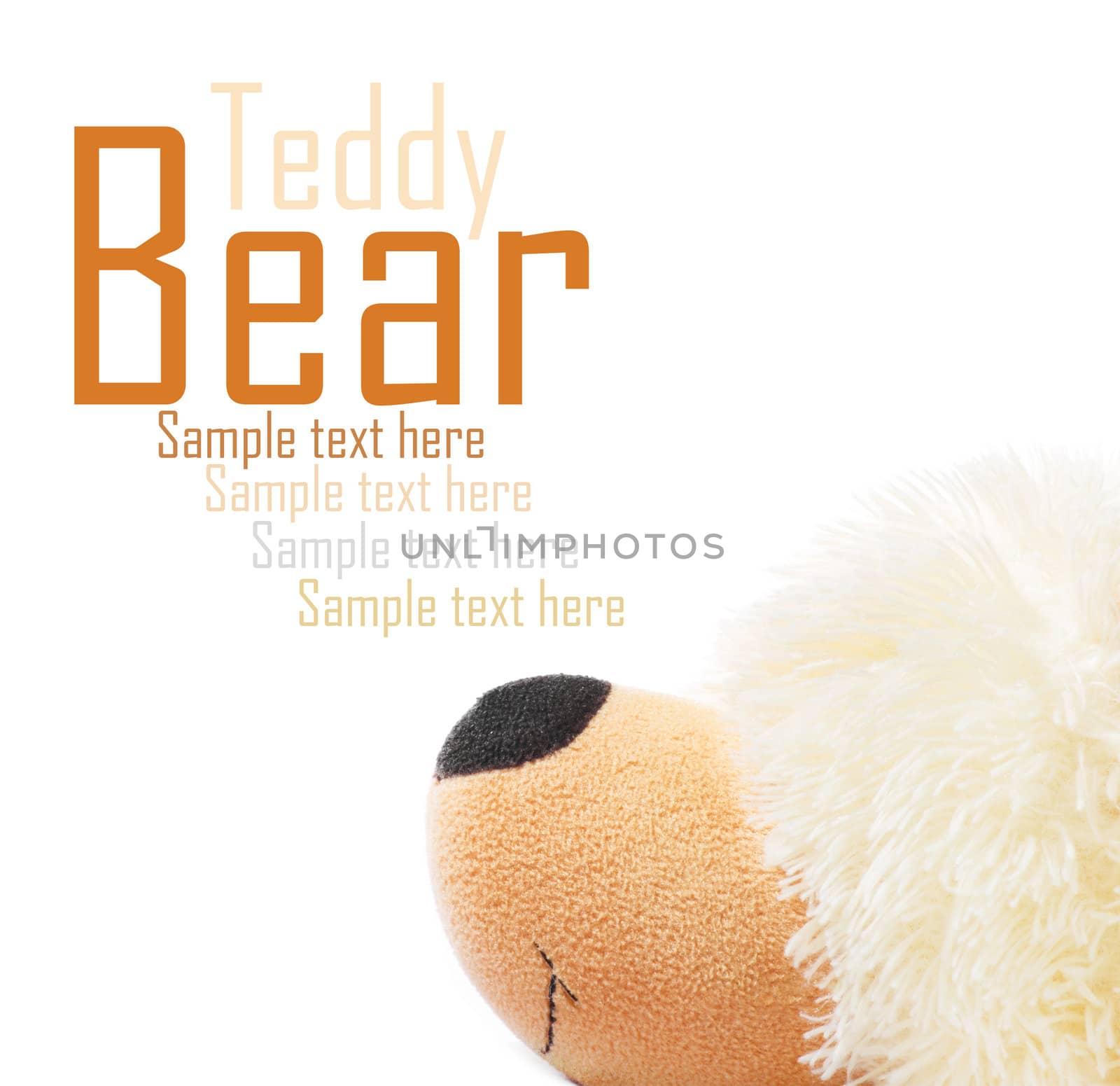 teddy bear