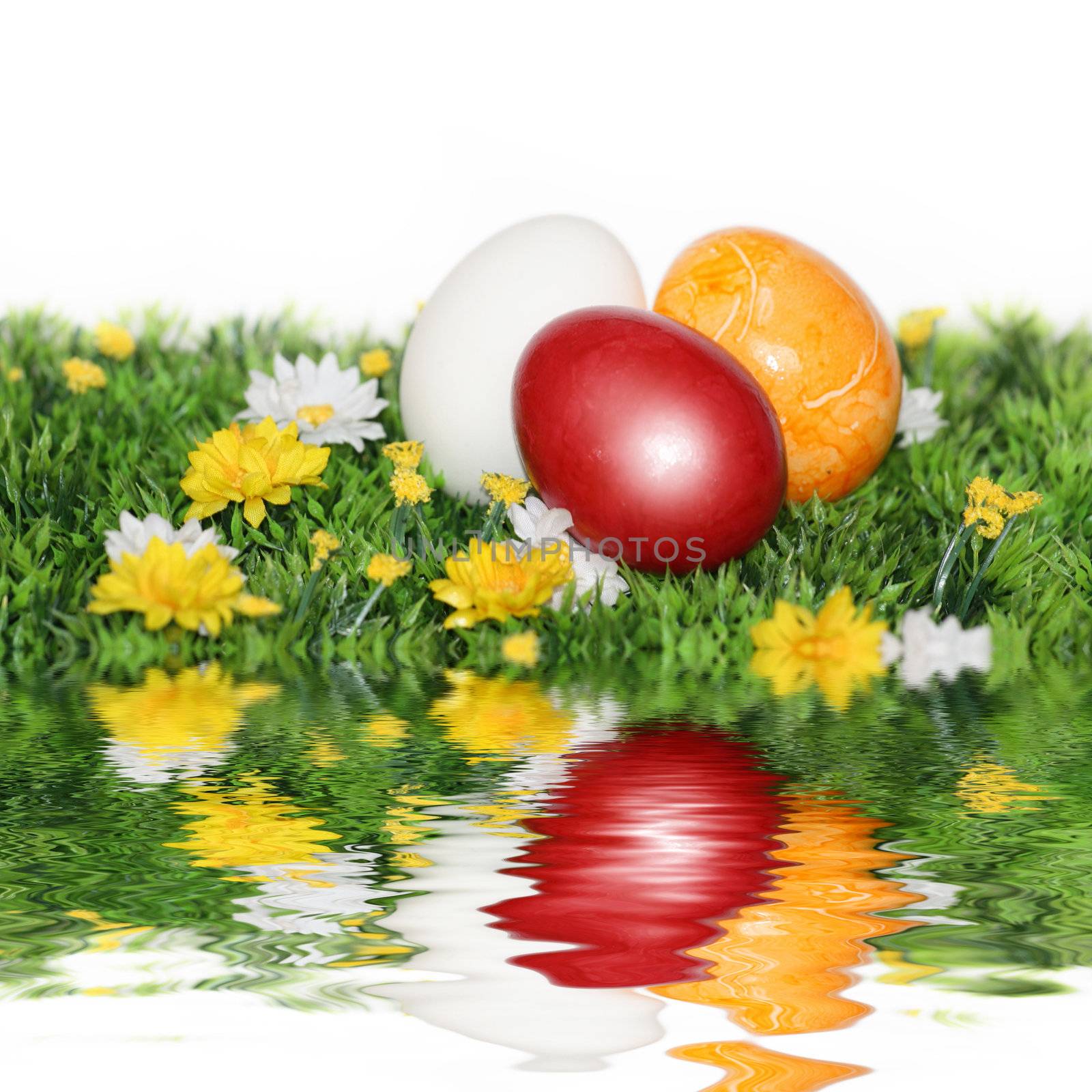 Colorfully painted eggs by photochecker
