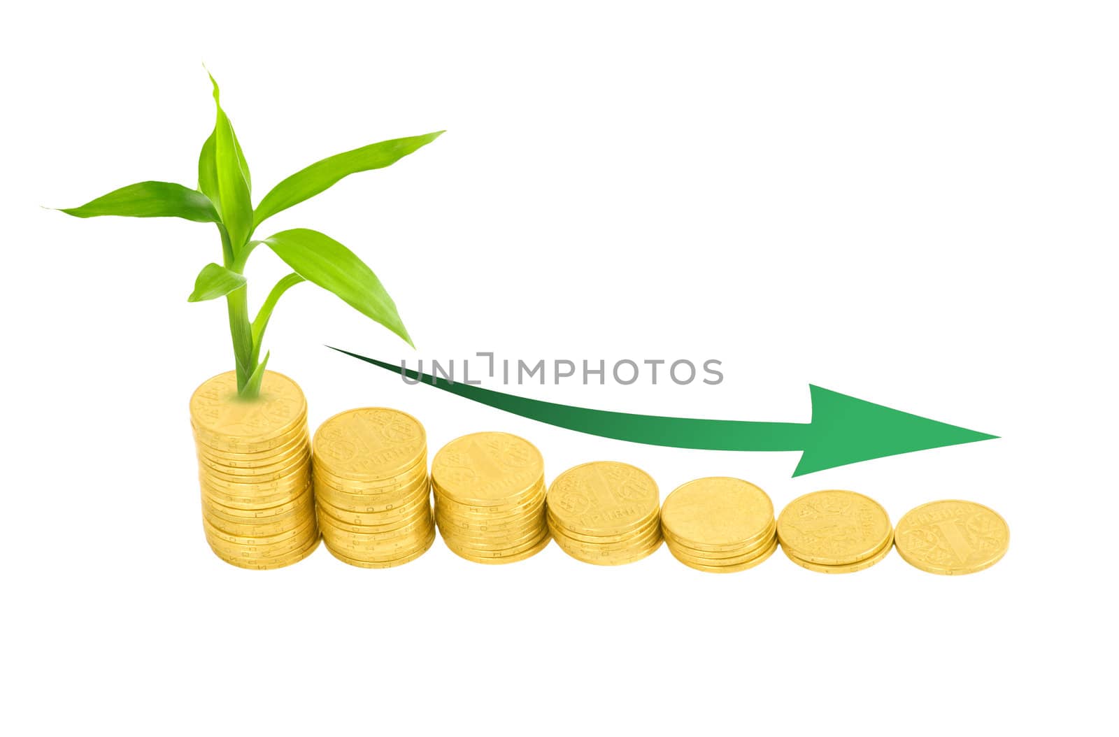 gold coins and plant isolated on white