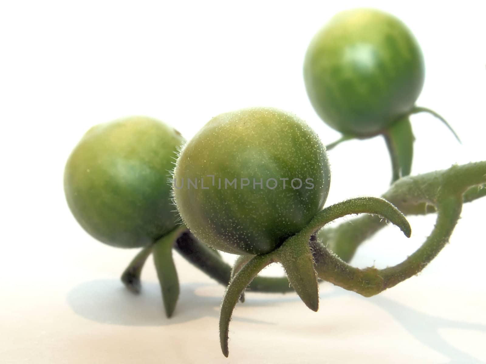 green tomato by njaj