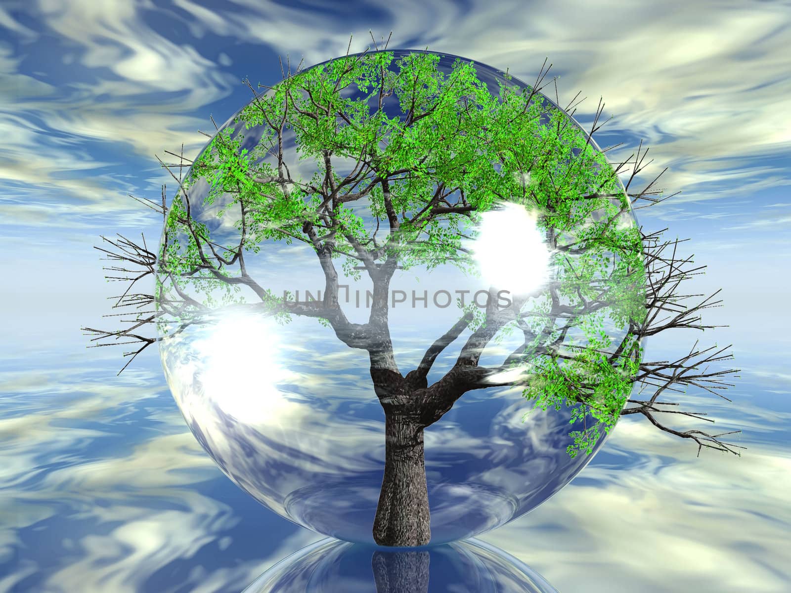 green tree in a transparent bubble