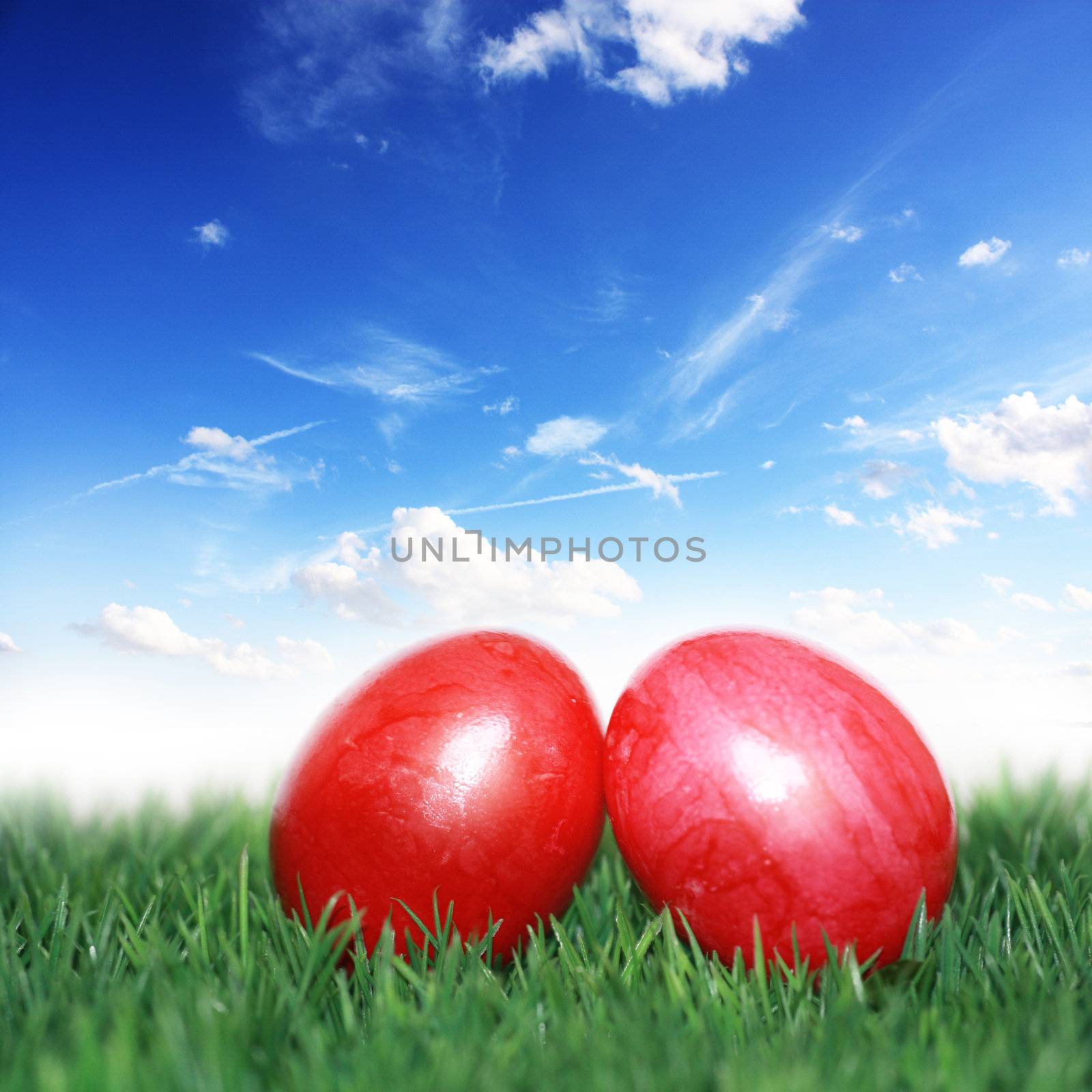 Easter eggs under the blue sky by photochecker