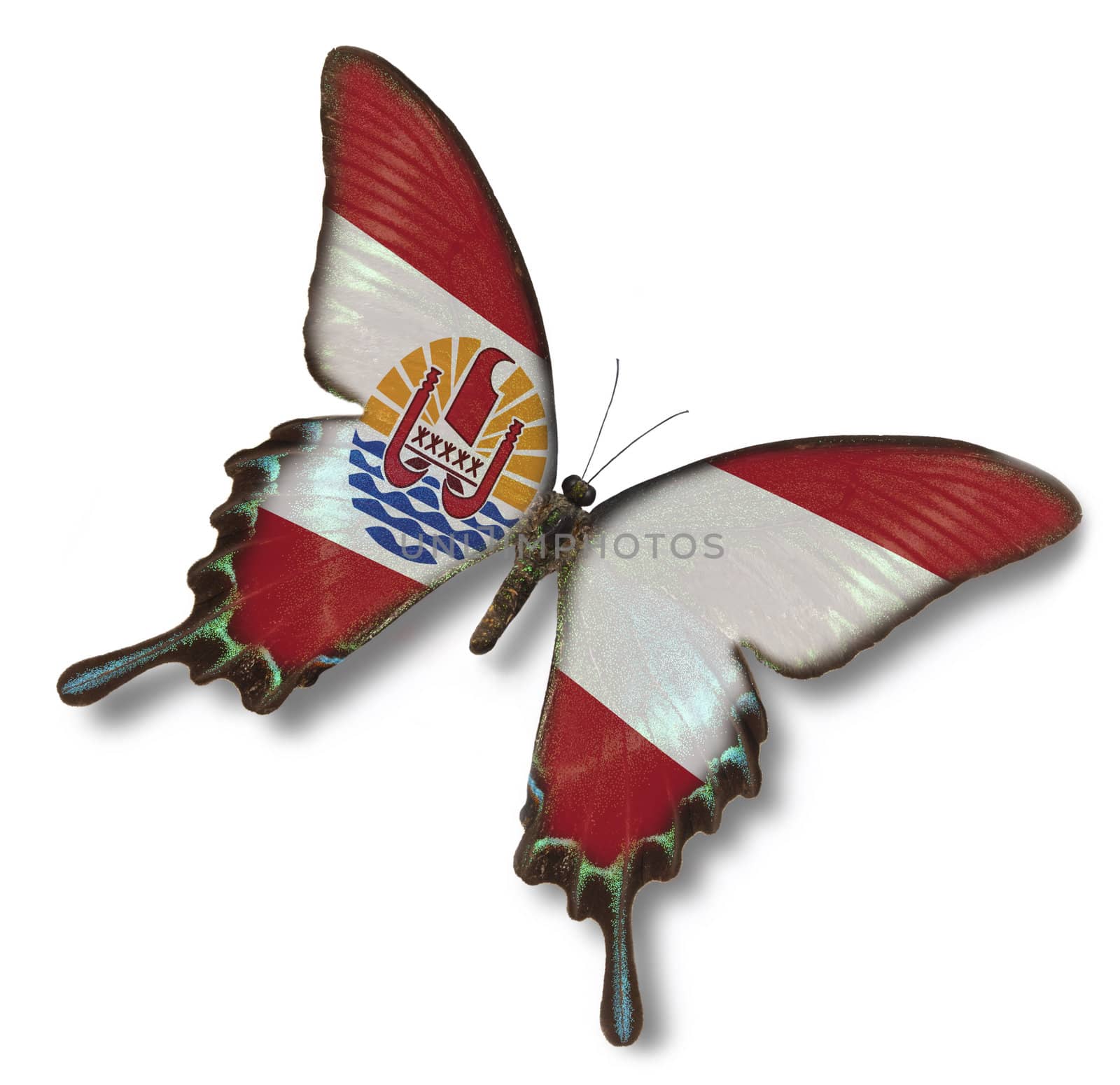  French Polynesia flag on butterfly isolated on white