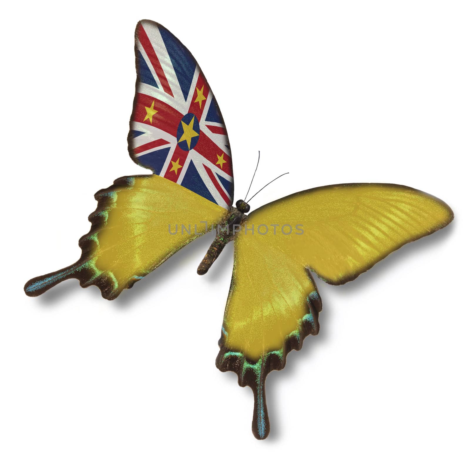 Niue flag on butterfly  isolated on white