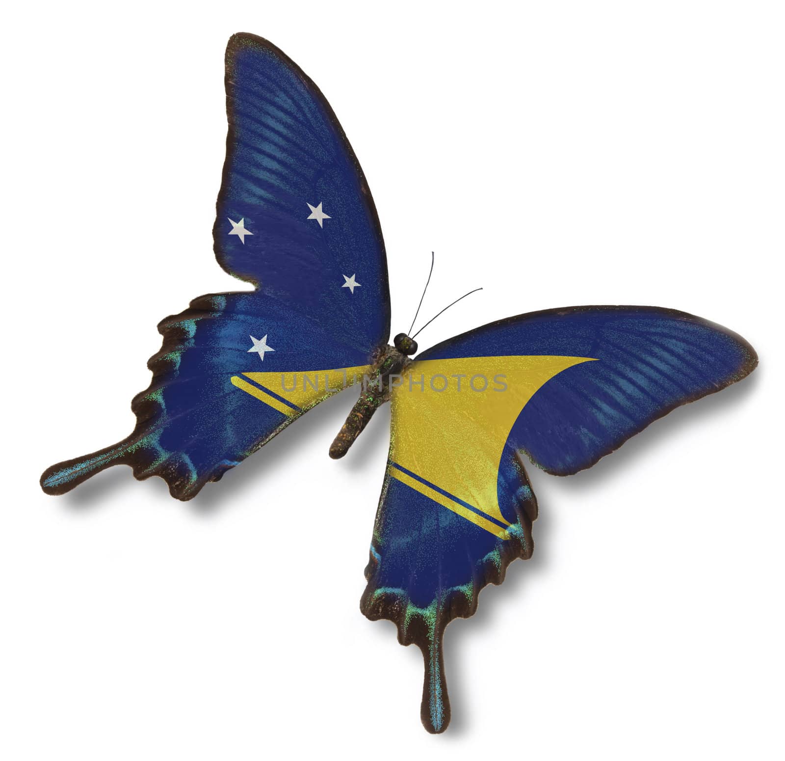 Tokelau flag on butterfly isolated on white