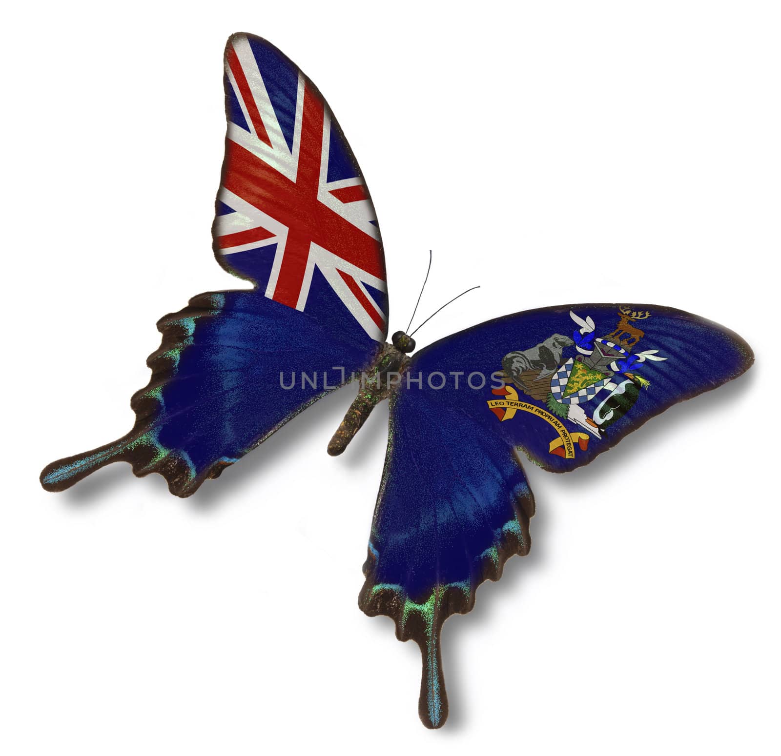 South Georgia and the South Sandwich Islands flag on butterfly isolated on white


