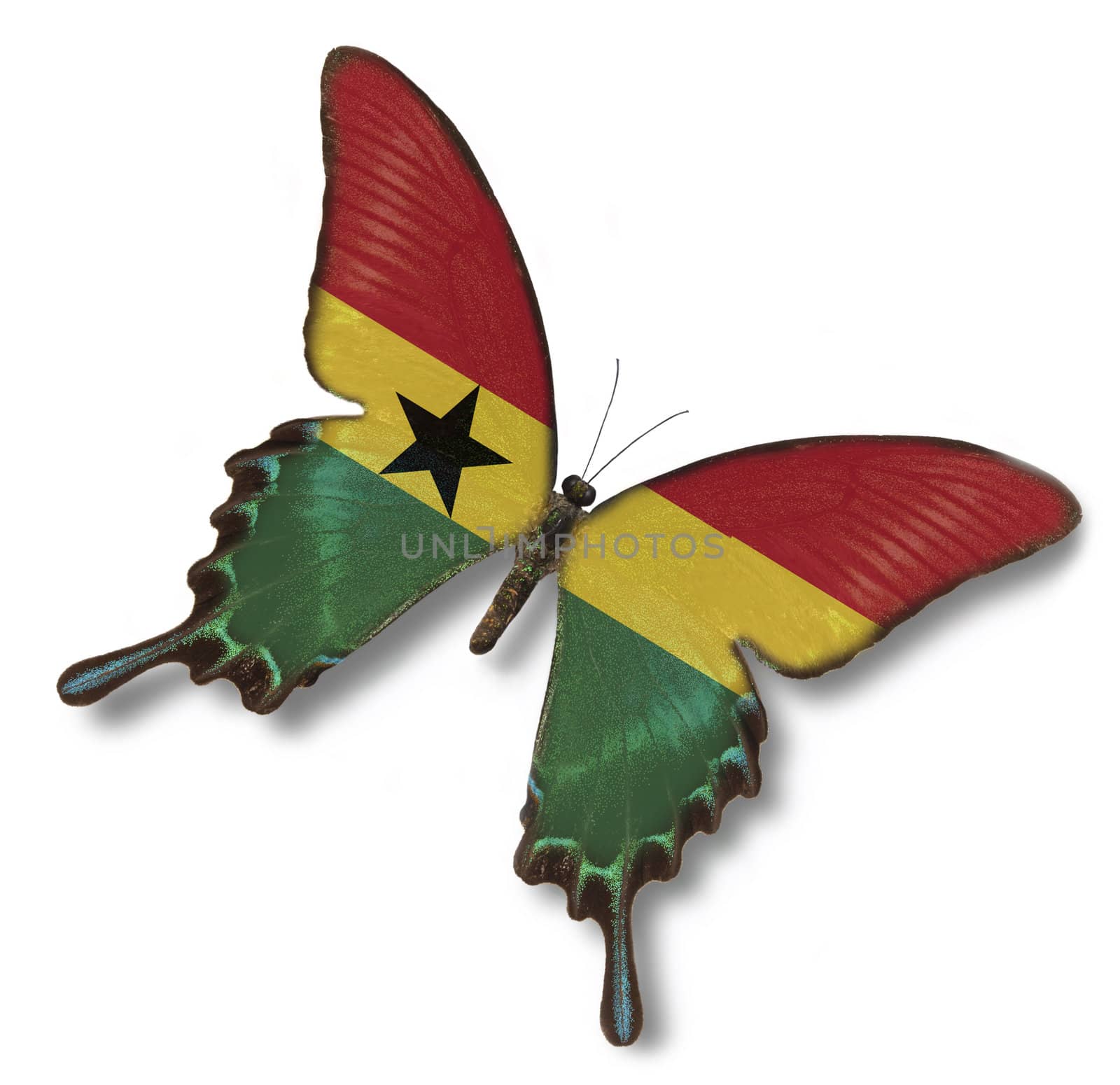 Ghana flag on butterfly isolated on white