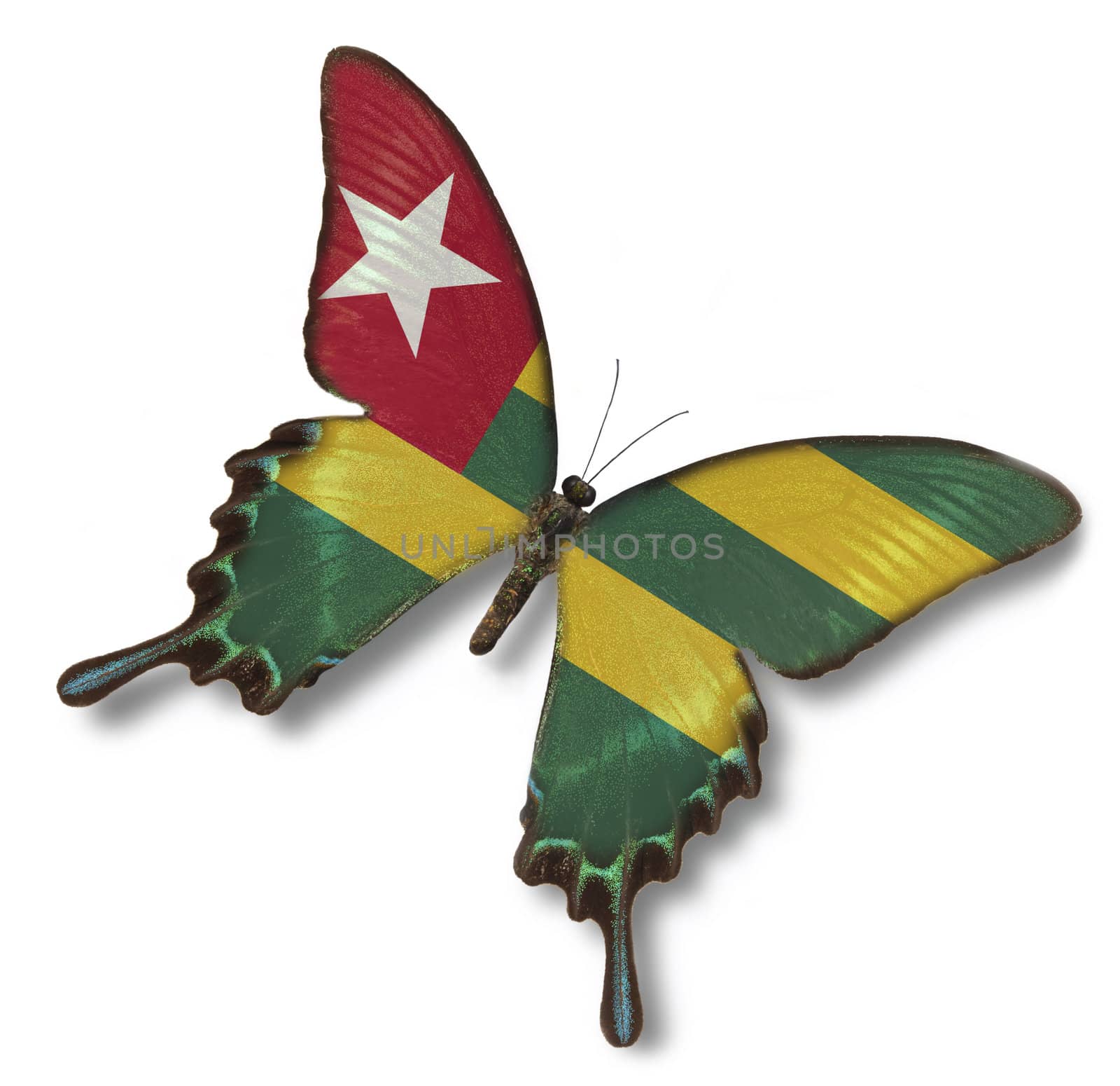 Togo flag on butterfly isolated on white