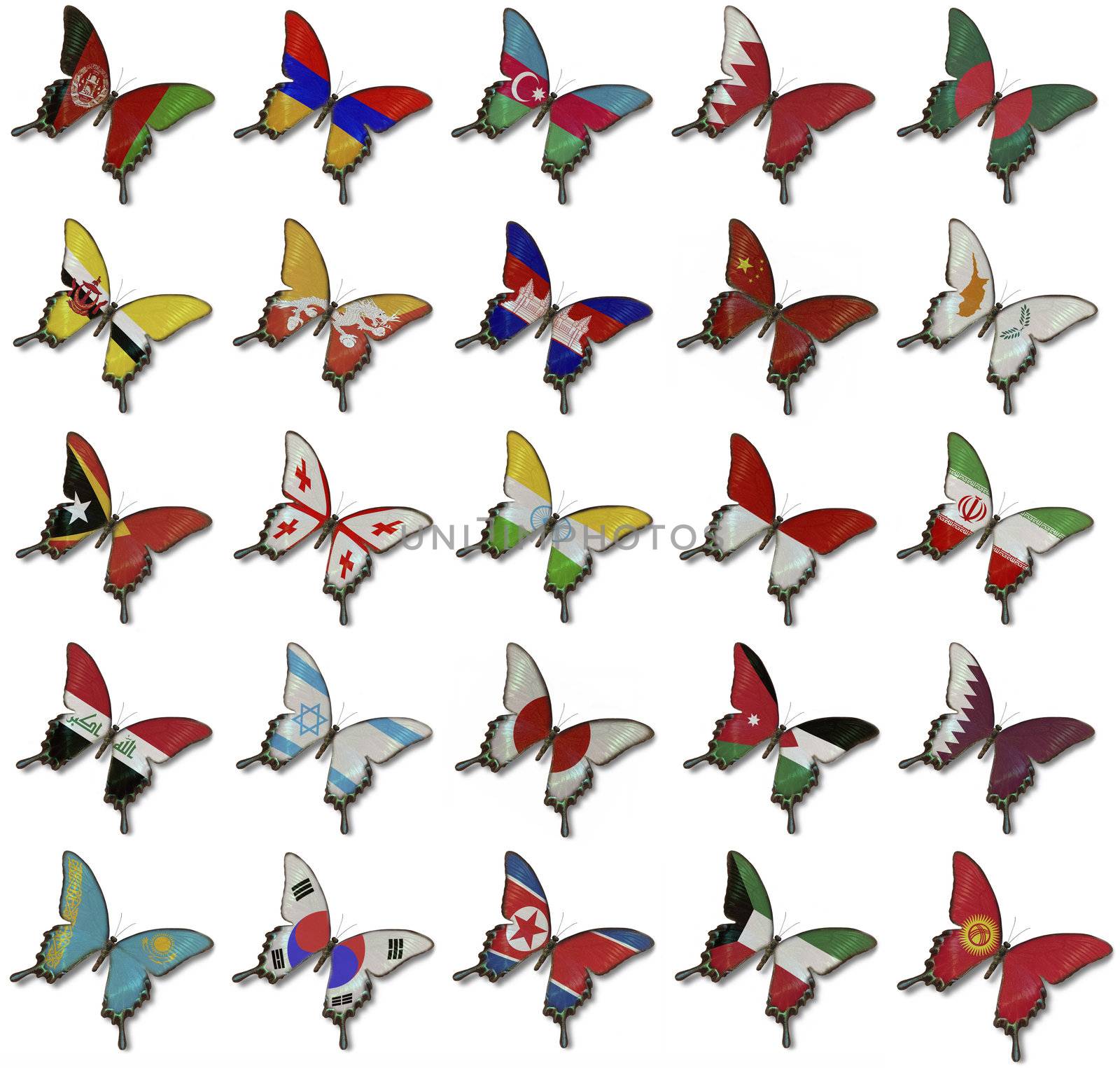 Collage from Asian flags on butterflies