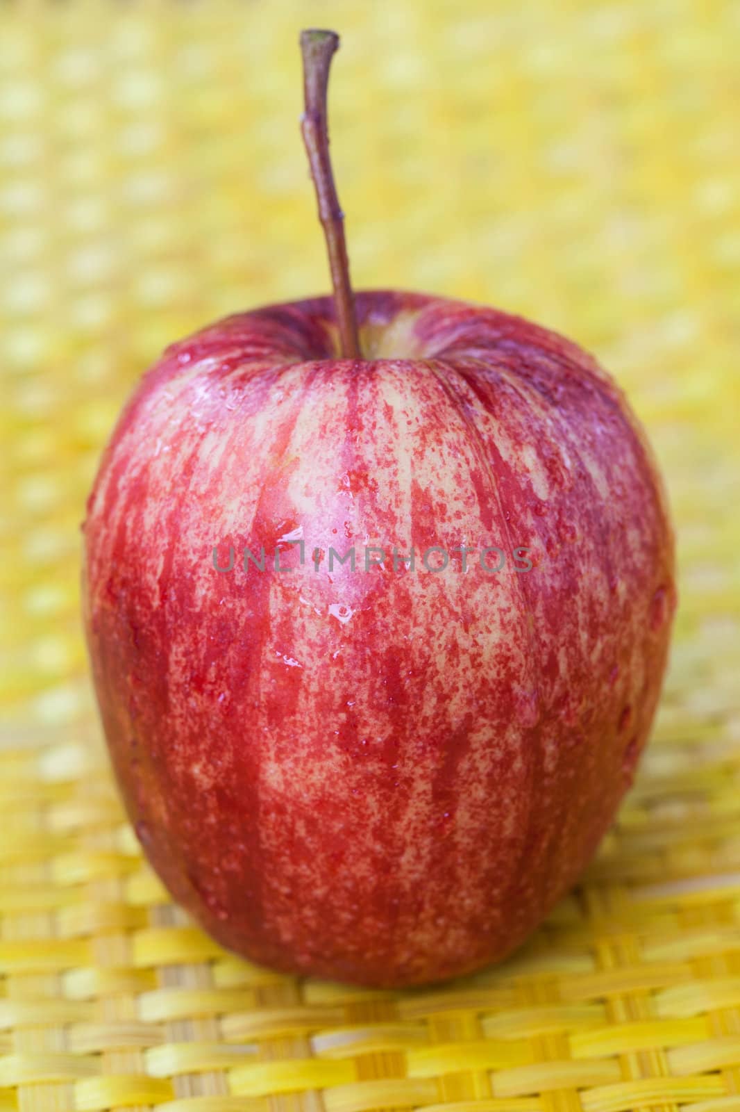 apple by thanatip
