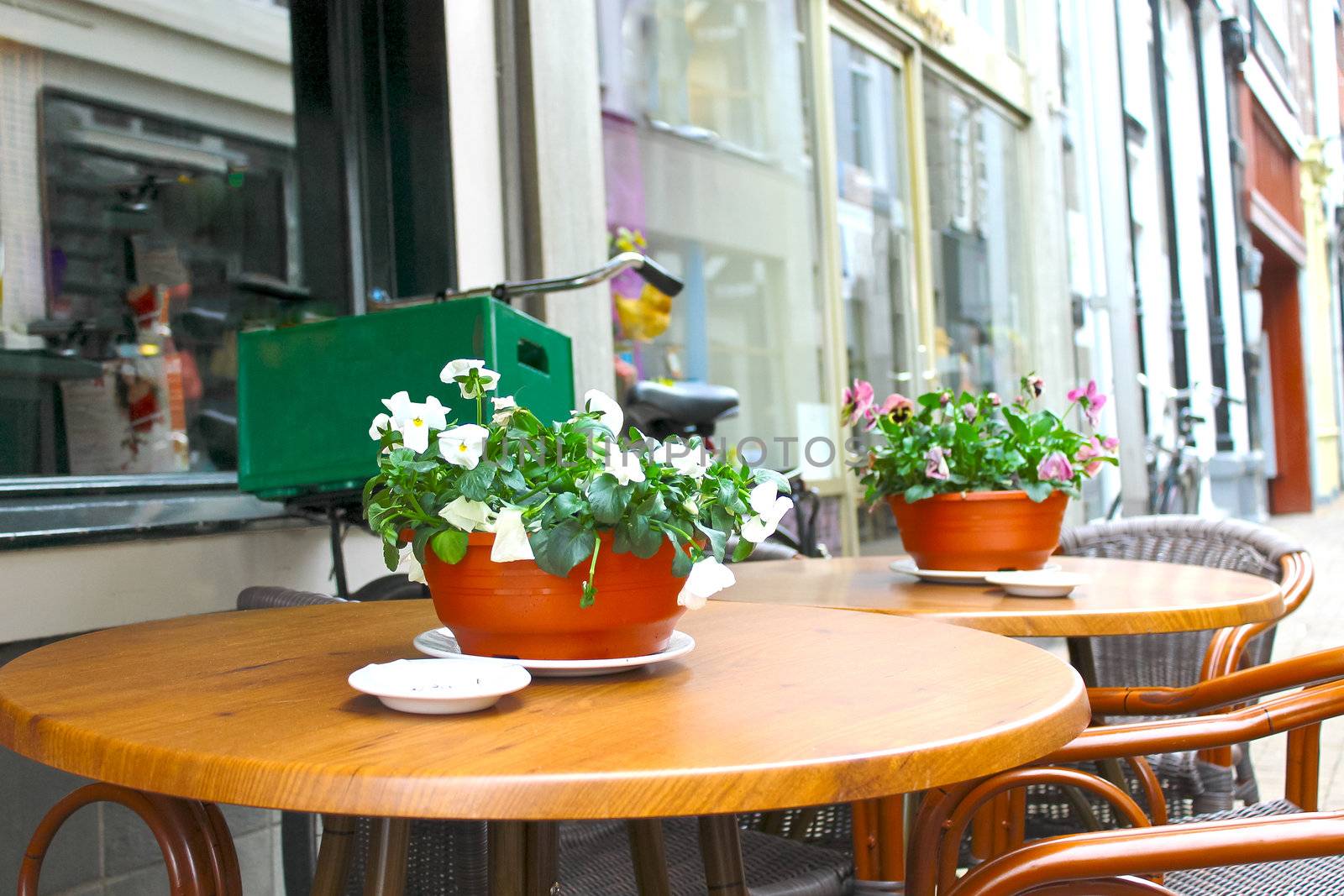 Flowers on the tables of street cafes. Gorinchem. Netherlands  by NickNick