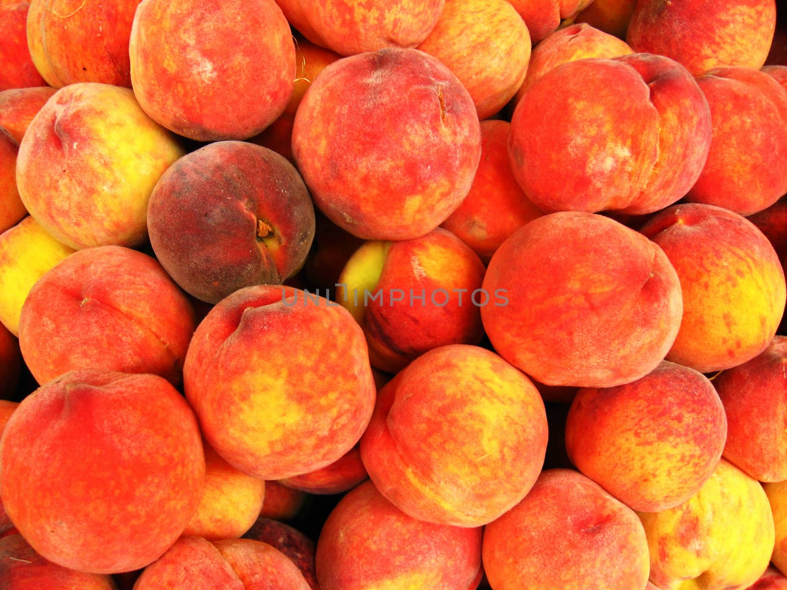 Many bright ripe and tasty peaches by alexmak