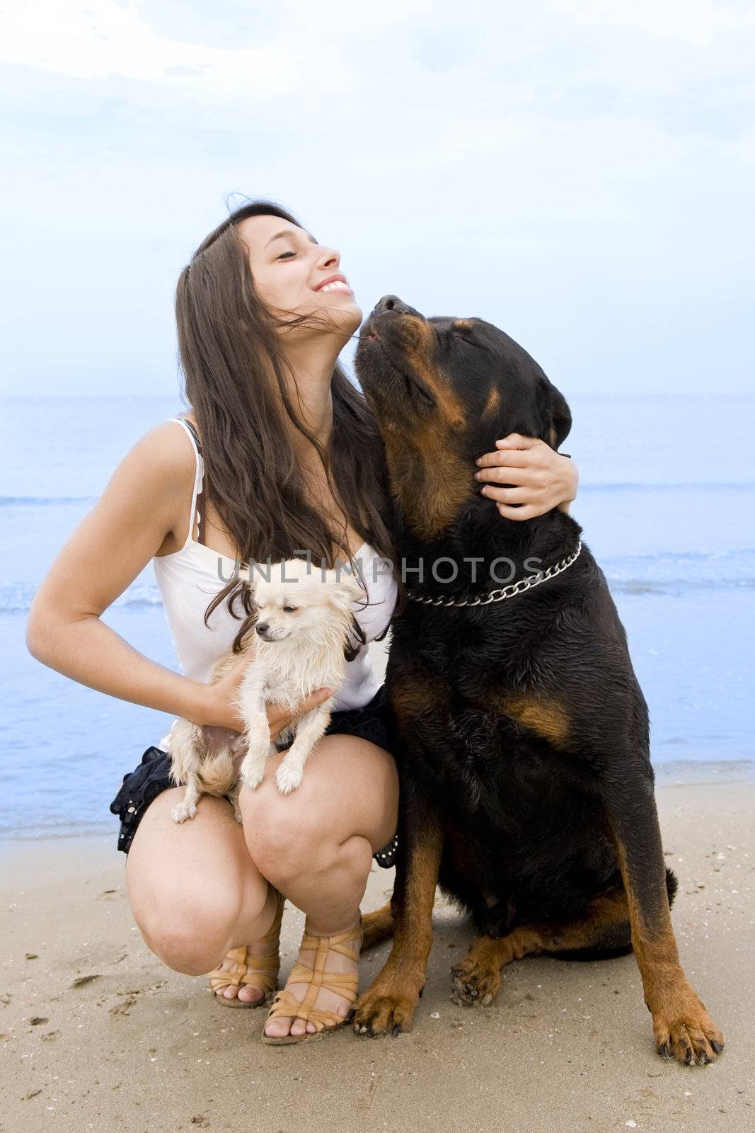 girl and dogs by cynoclub