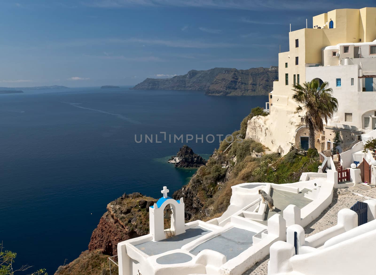 Santorini buildings and the dog by mulden